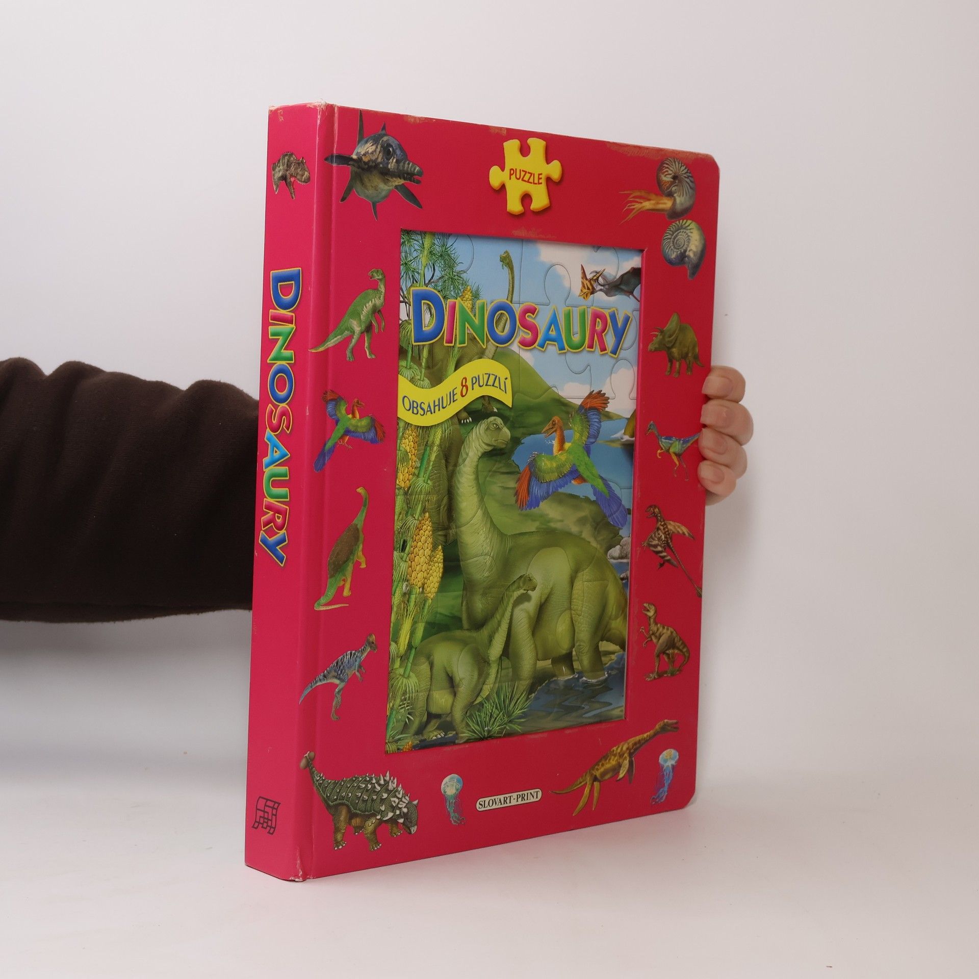 Autorenkollektiv Puzzle Dinosaury