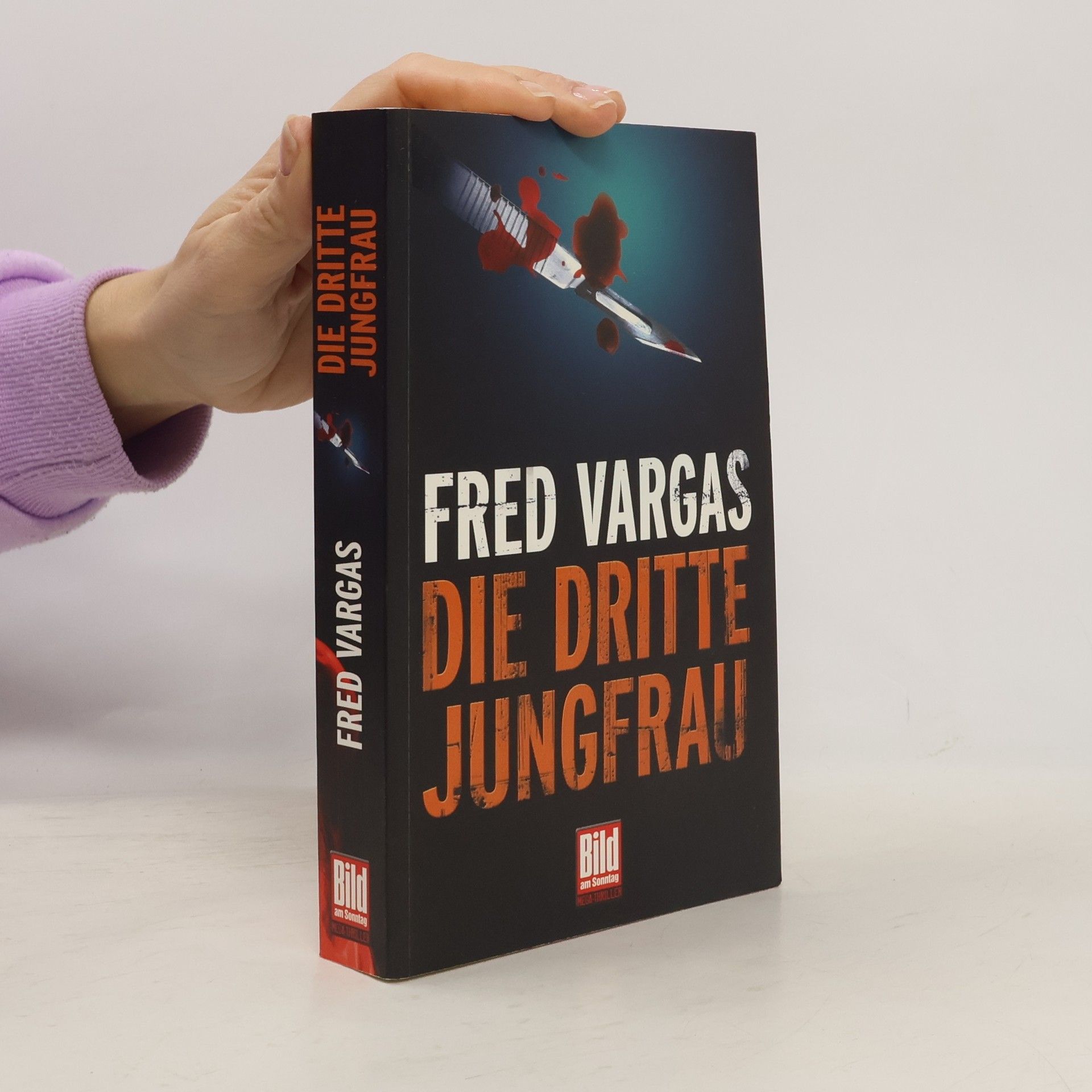 Fred Vargas Die dritte Jungfrau