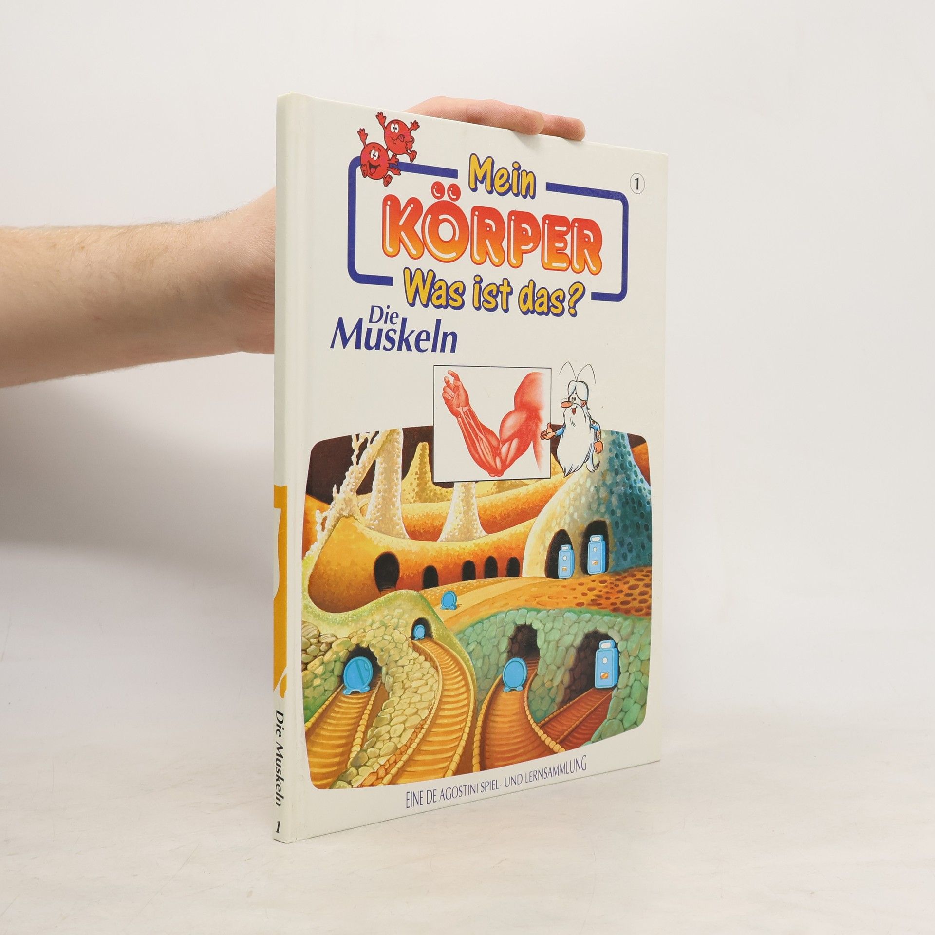 Kolektiv autorů Mein Körper. Was ist das? Die Muskeln 1