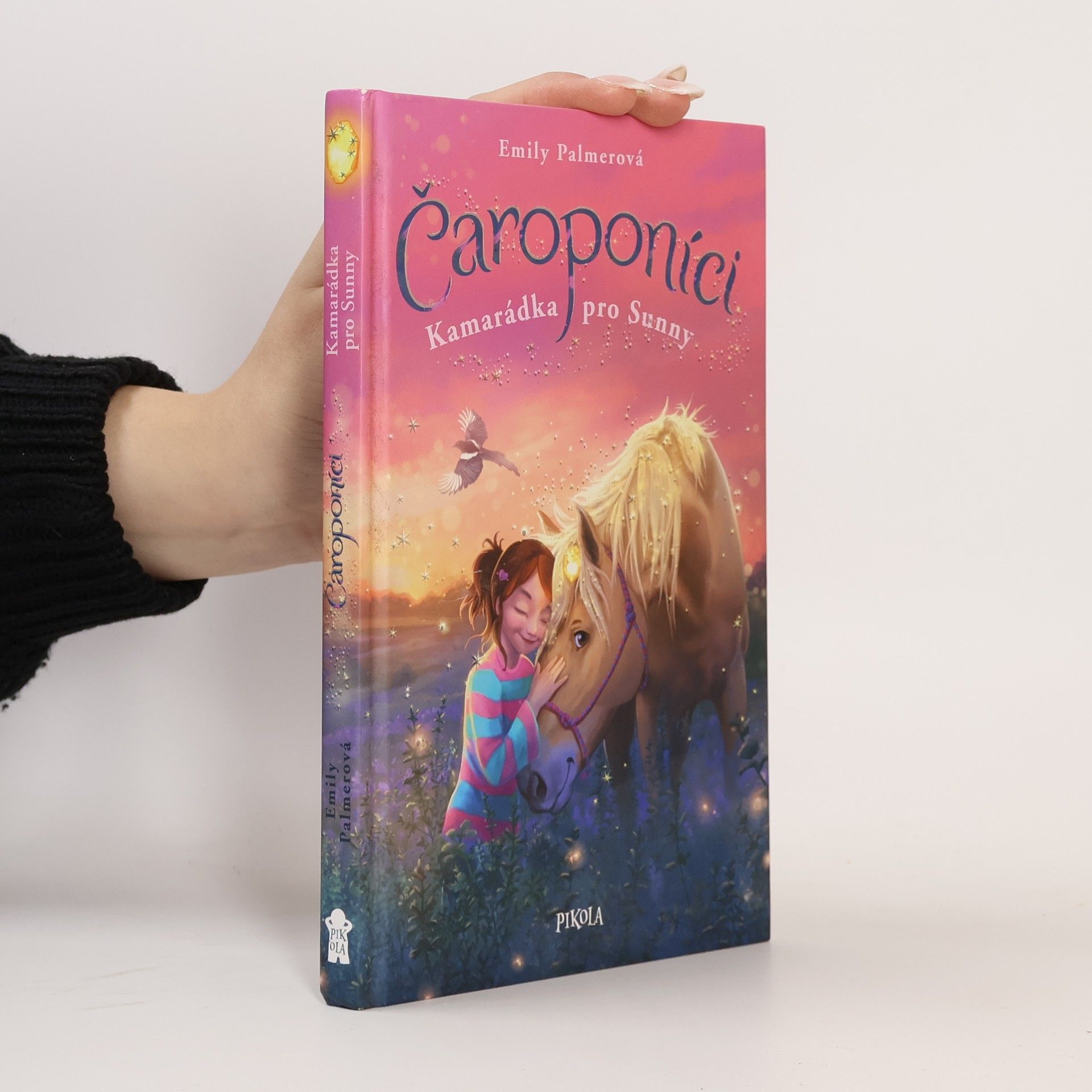 Anne Scheller Čaroponíci. Kamarádka pro Sunny