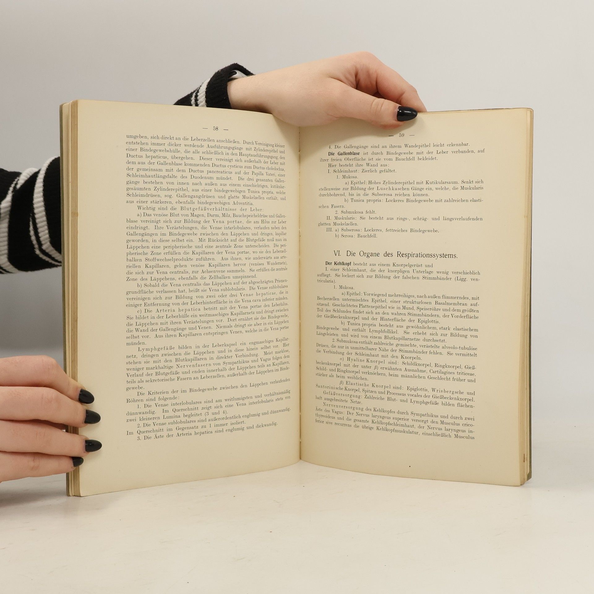Alfred Brauchle Grundriß der normalen Histologie und mikroskopischen Anatomie
