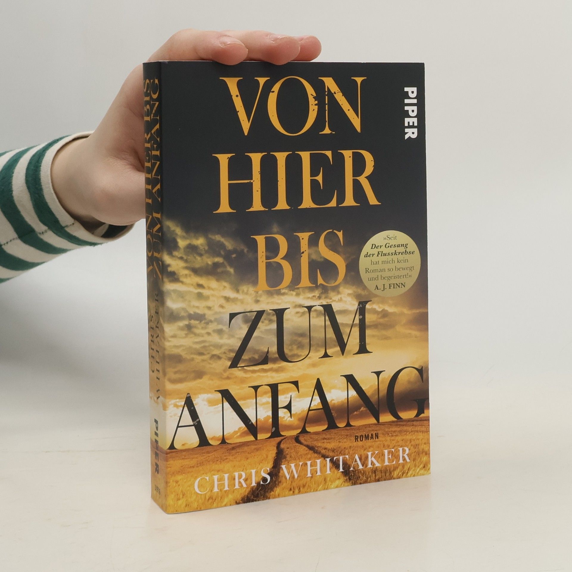 Chris Whitaker Von hier bis zum Anfang