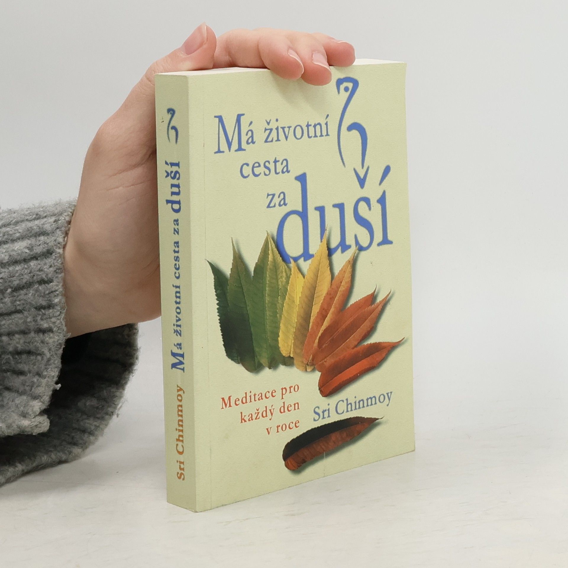 Sri Chinmoy Má životní cesta za duší