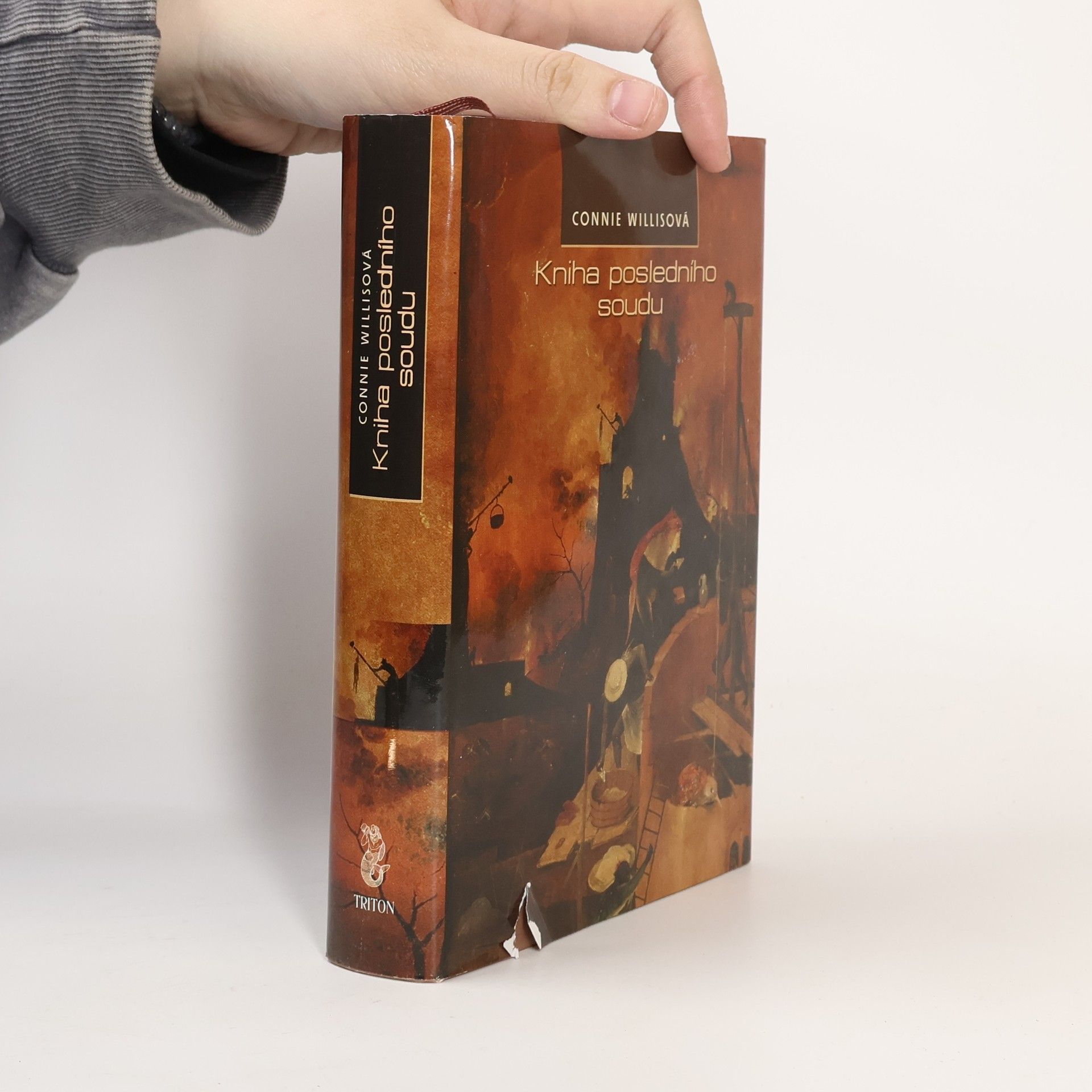 Connie Willis Kniha posledního soudu