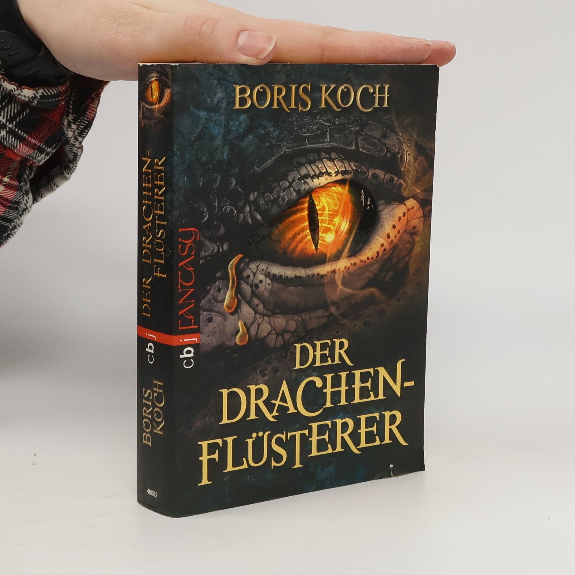 Der Drachenflüsterer