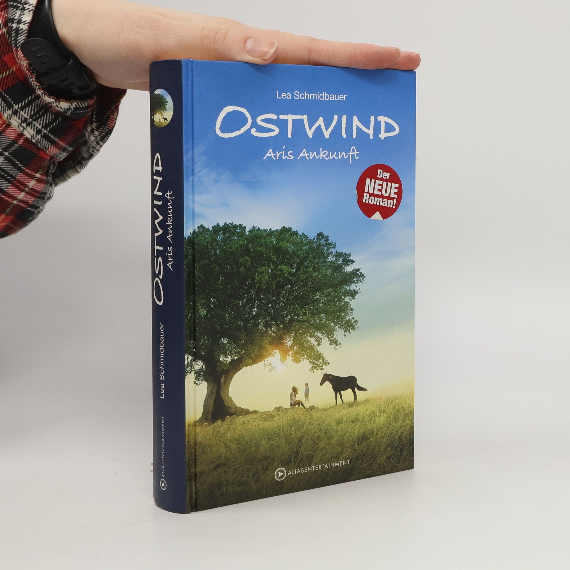 Ostwind - Arís Ankunft