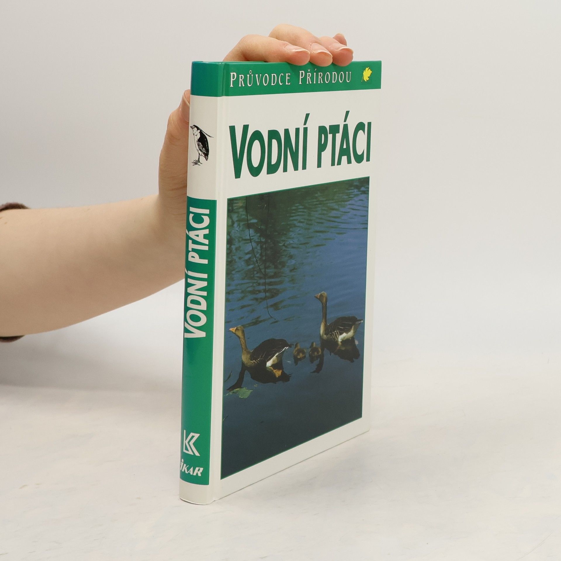 Sauer Frieder Vodní ptáci