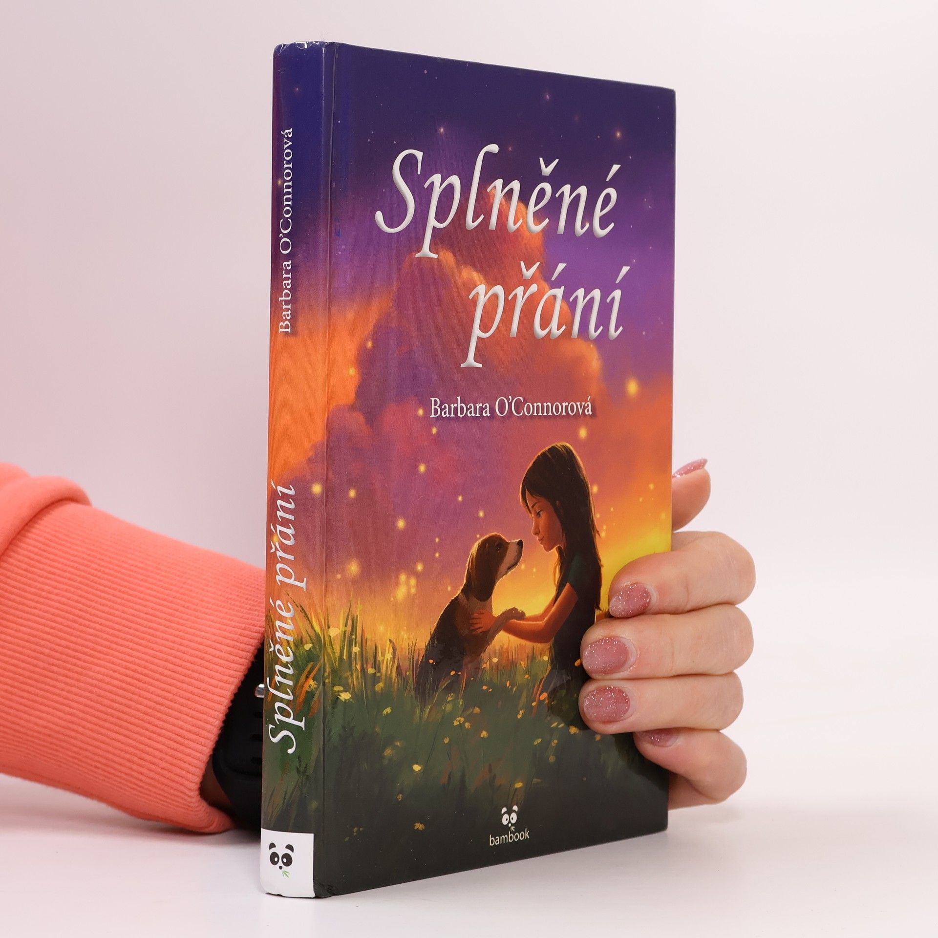 Barbara O'Connor Splněné přání