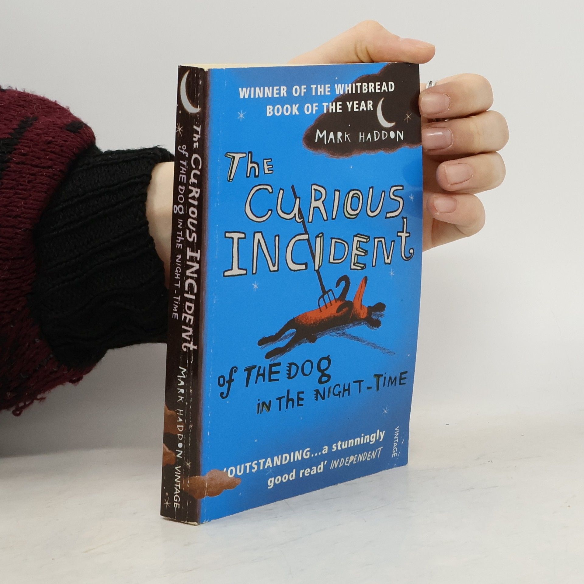 Mark Haddon The Curious Incident of The Dog in The Night-Time