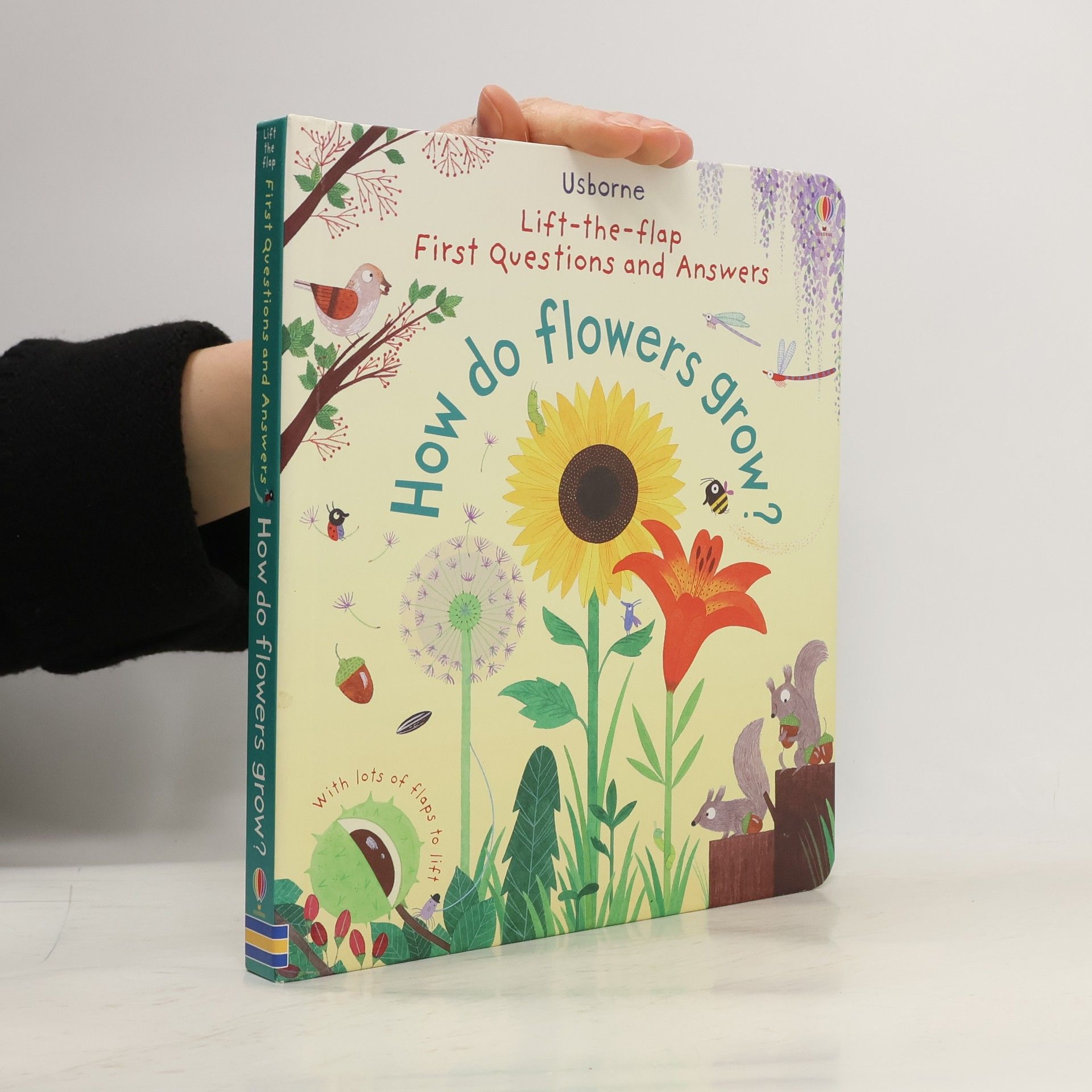 Daynes Katie. How Do Flowers Grow?