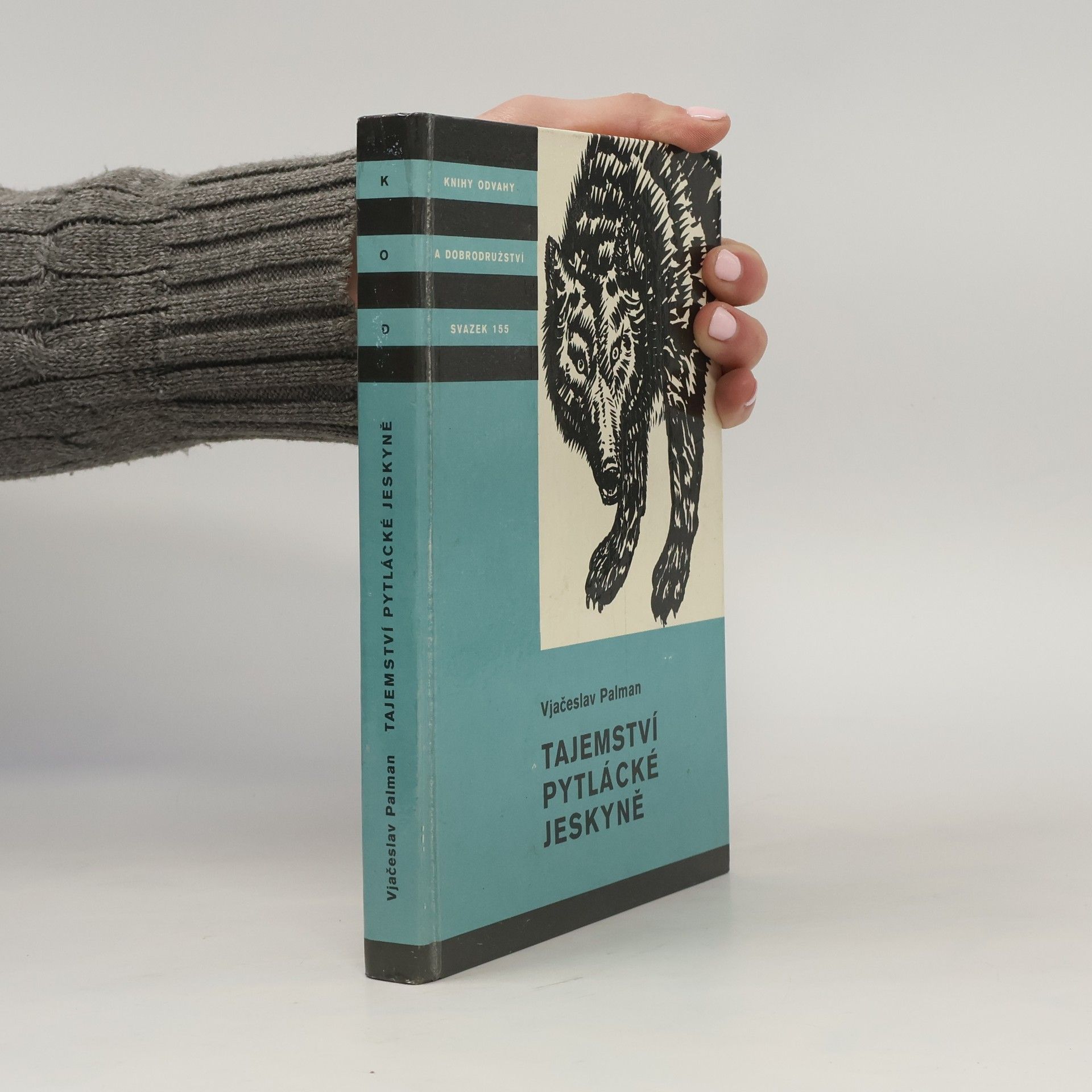 Vjačeslav Palman Tajemství pytlácké jeskyně