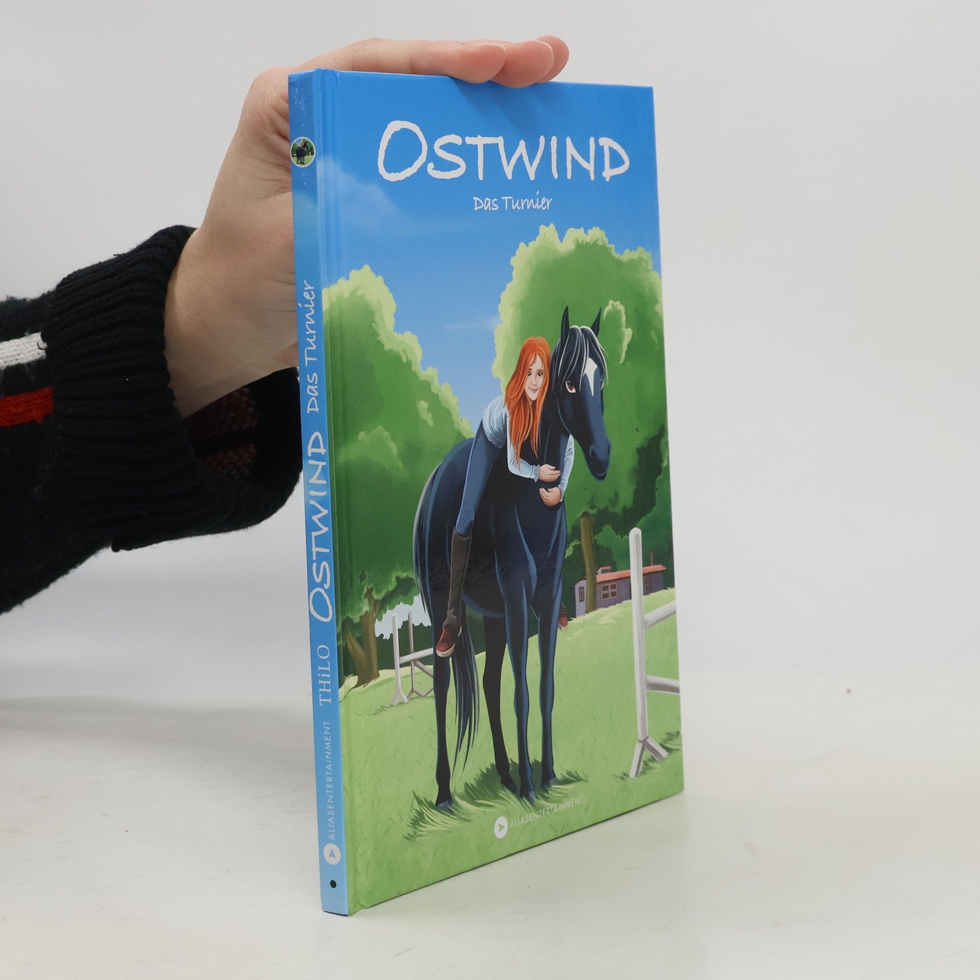 Thilo Petry-Lassak Ostwind - das Turnier