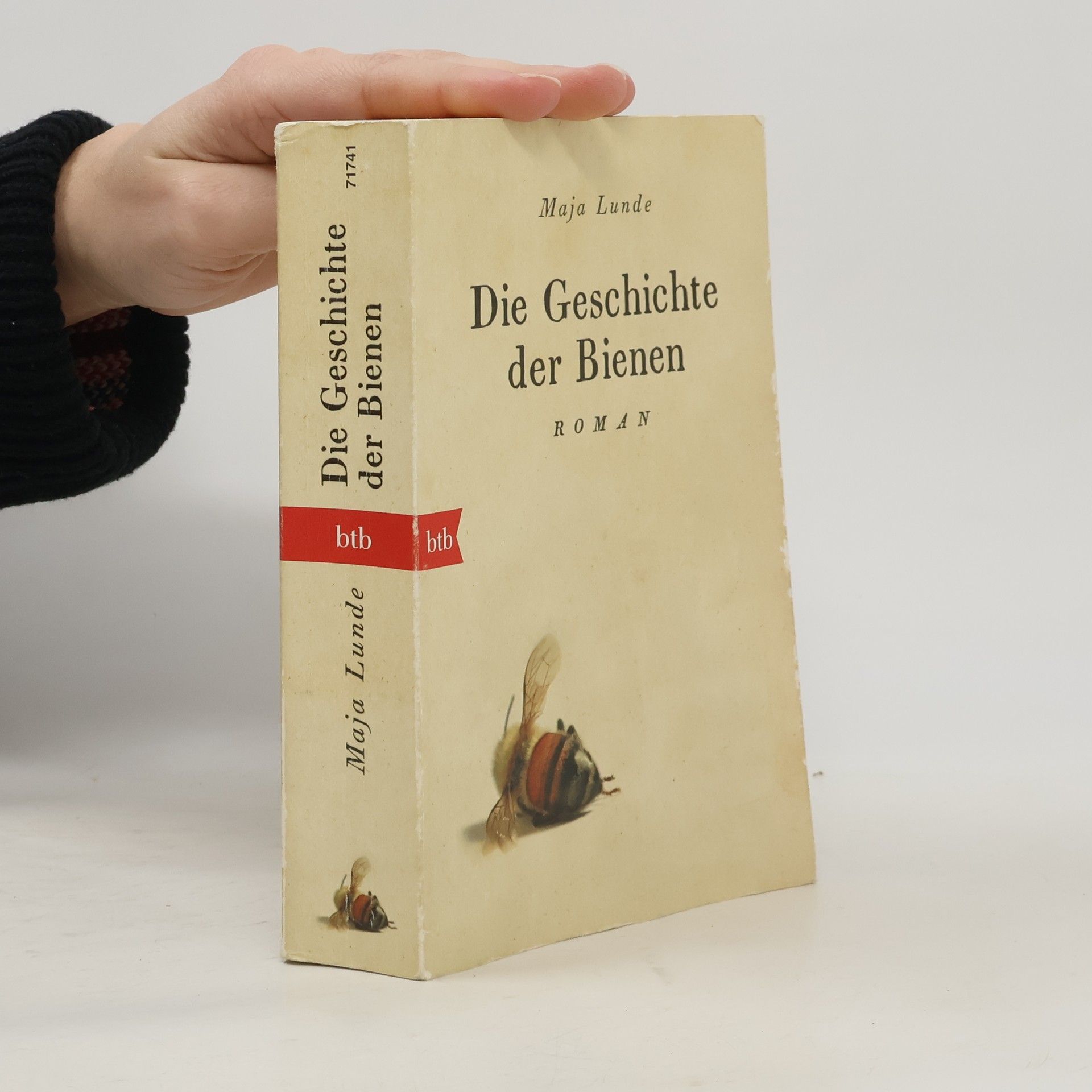 Maja Lunde Der Geschichte der Bienen