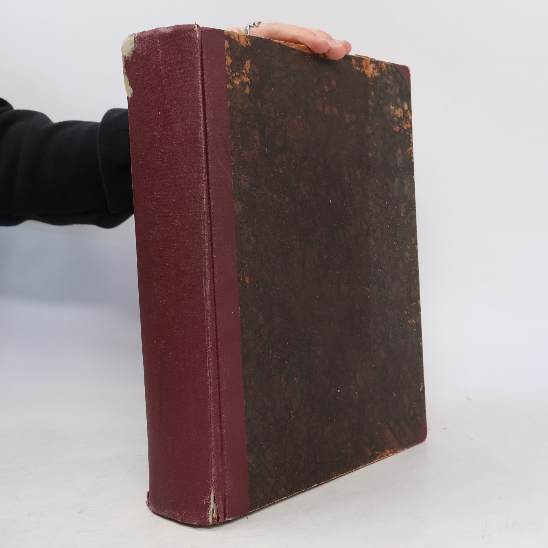 Ernst Friedrich Pinkert Das Kind des Anderen