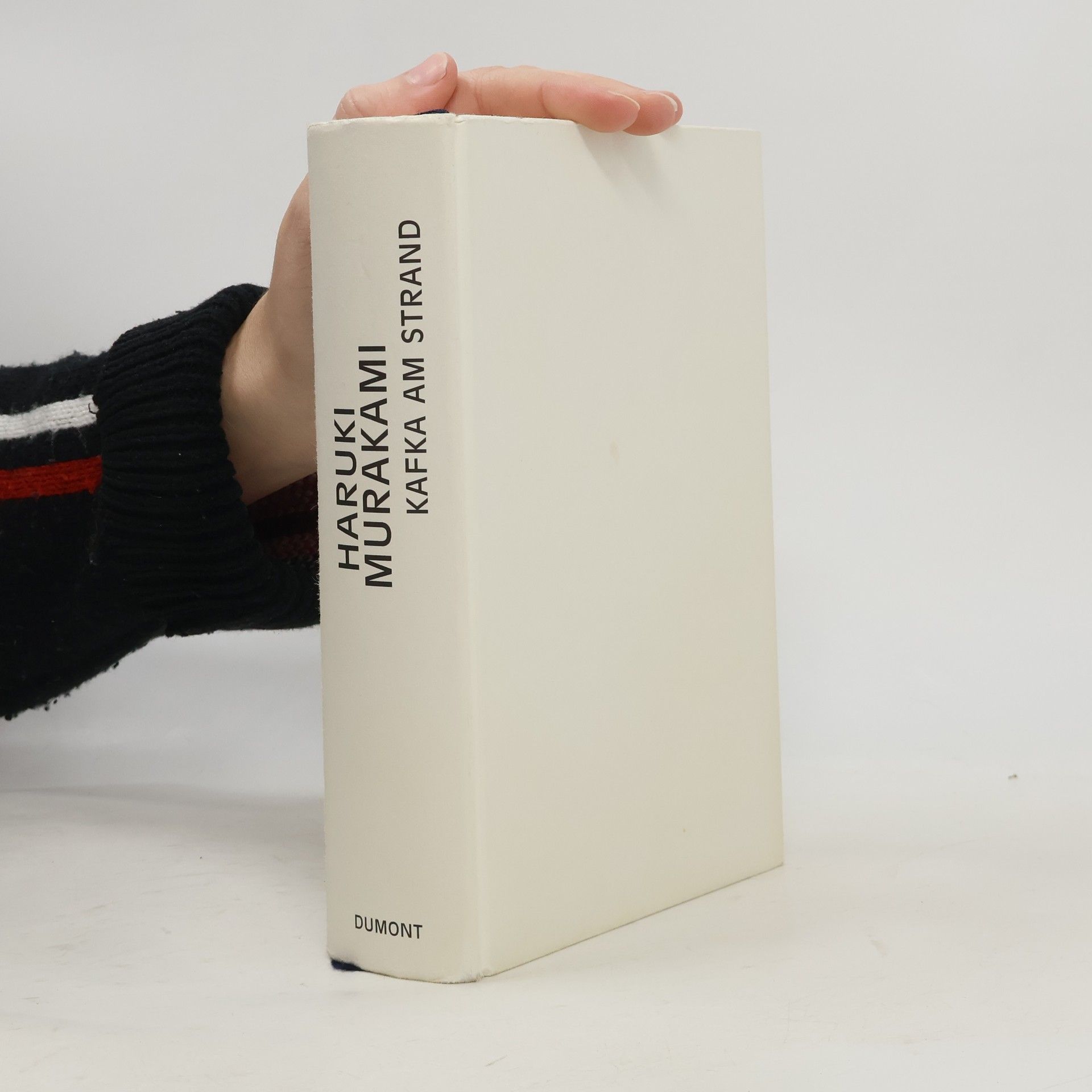 Haruki Murakami Kafka am Strand