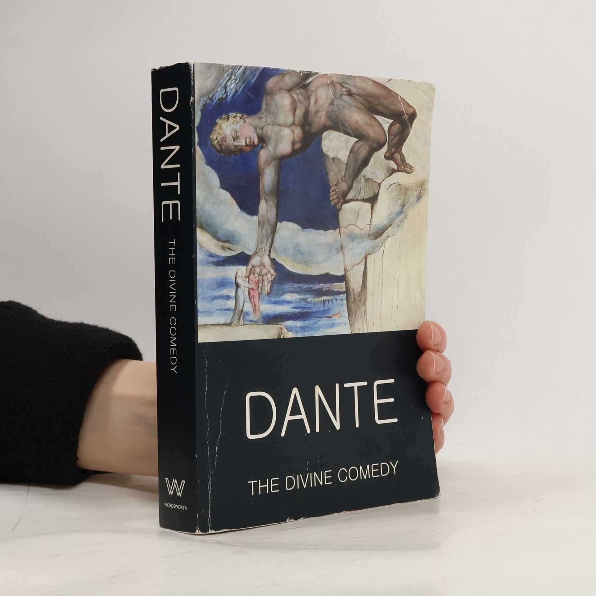 Dante Alighieri The Divine Comedy
