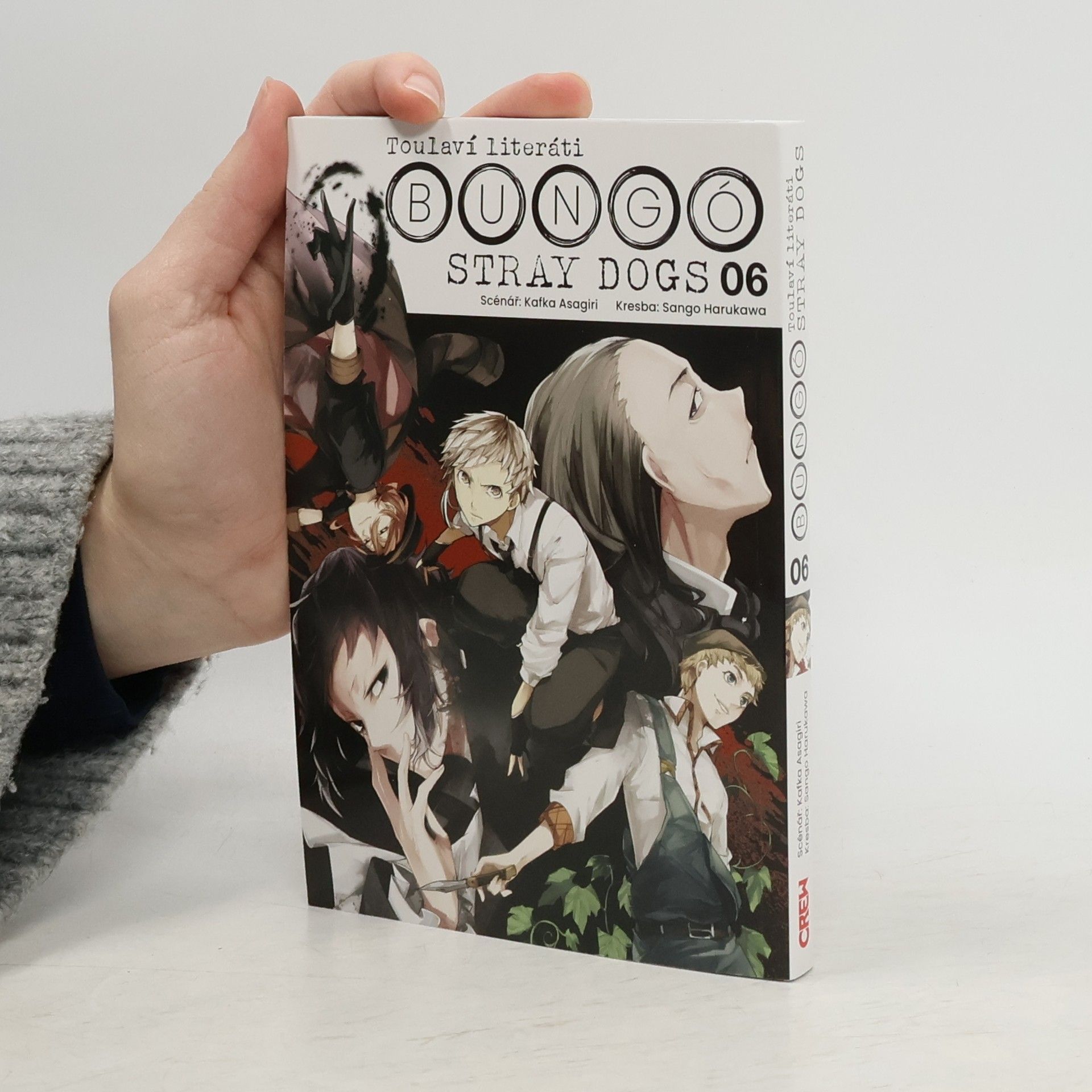 Toulaví literáti 6