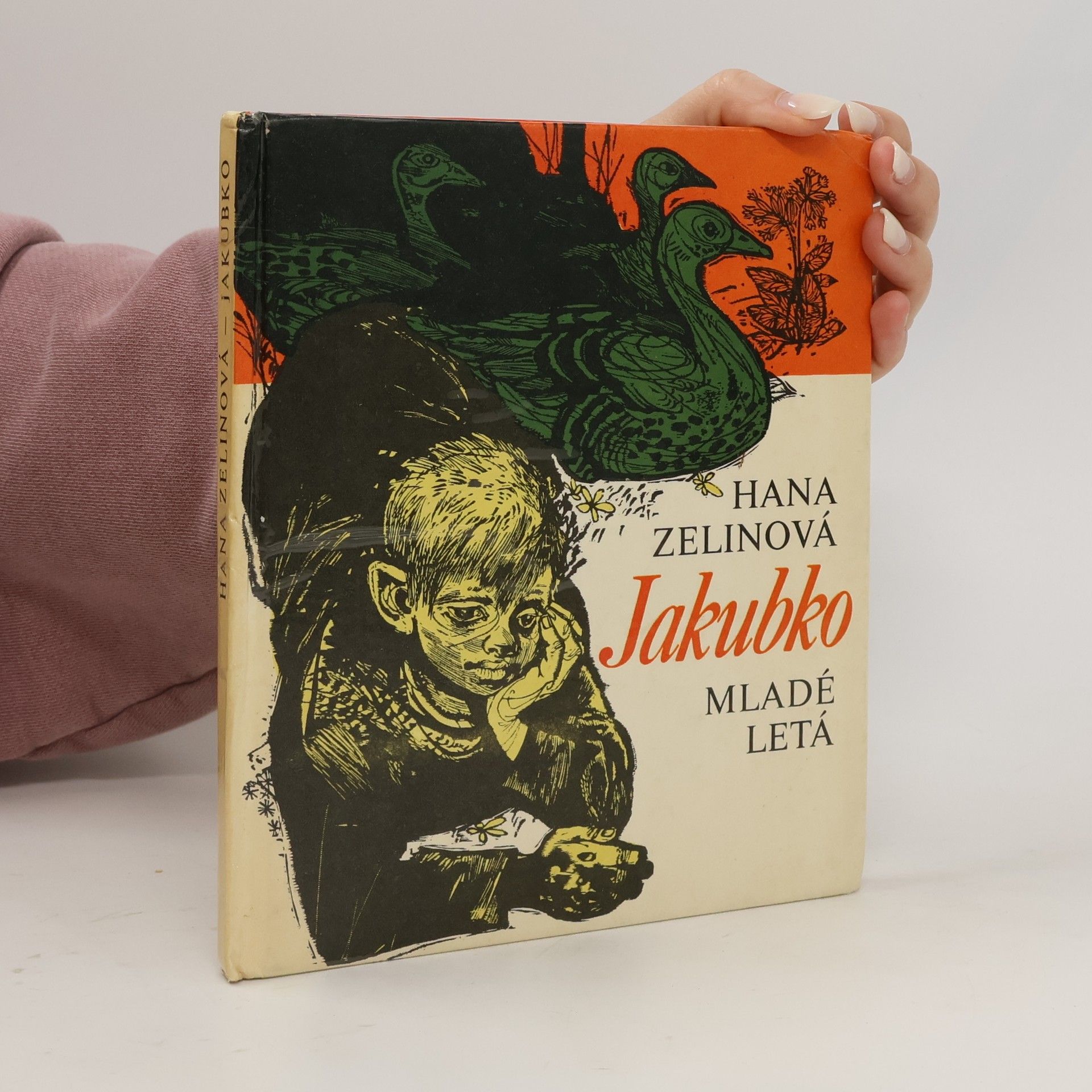 Vladimír Machaj Jakubko