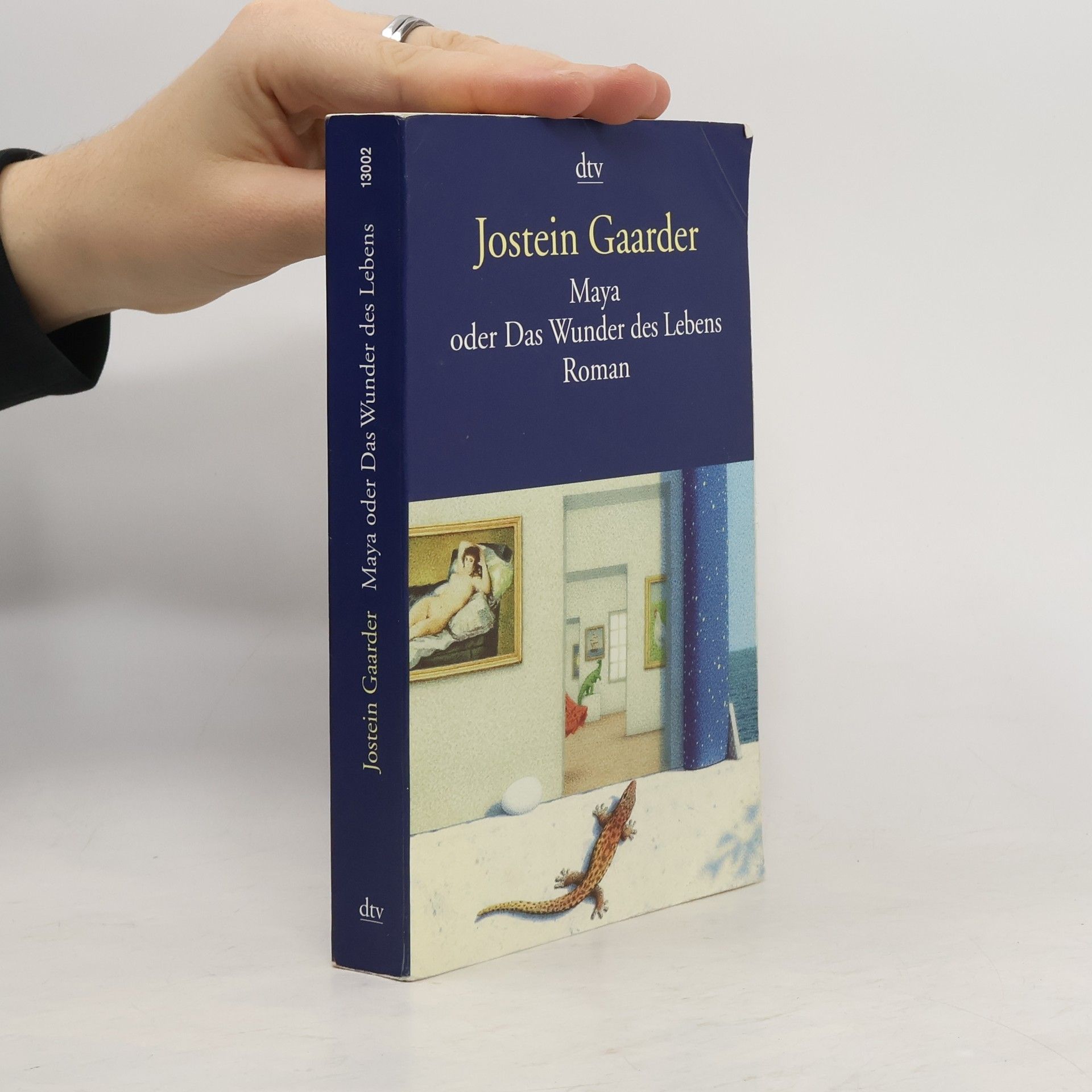 Jostein Gaarder Maya oder Das Wunder des Lebens