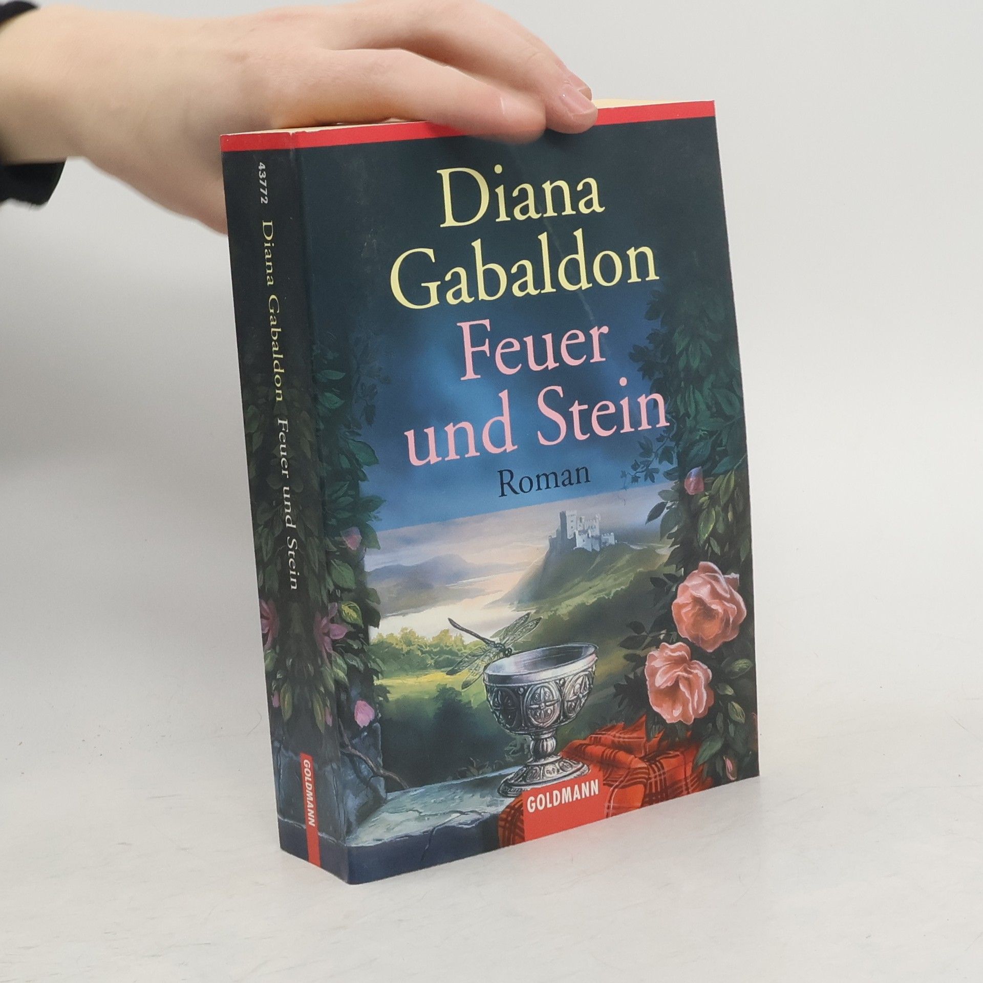 Diana Gabaldon Feuer und Stein
