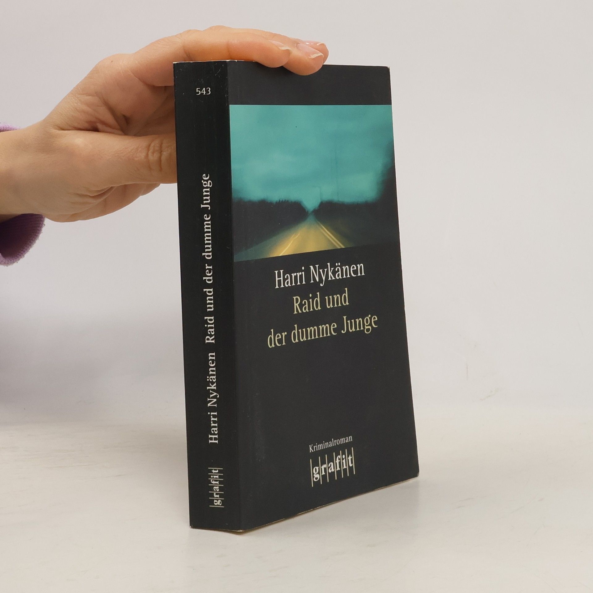 Harri Nykänen Raid und der dumme Junge