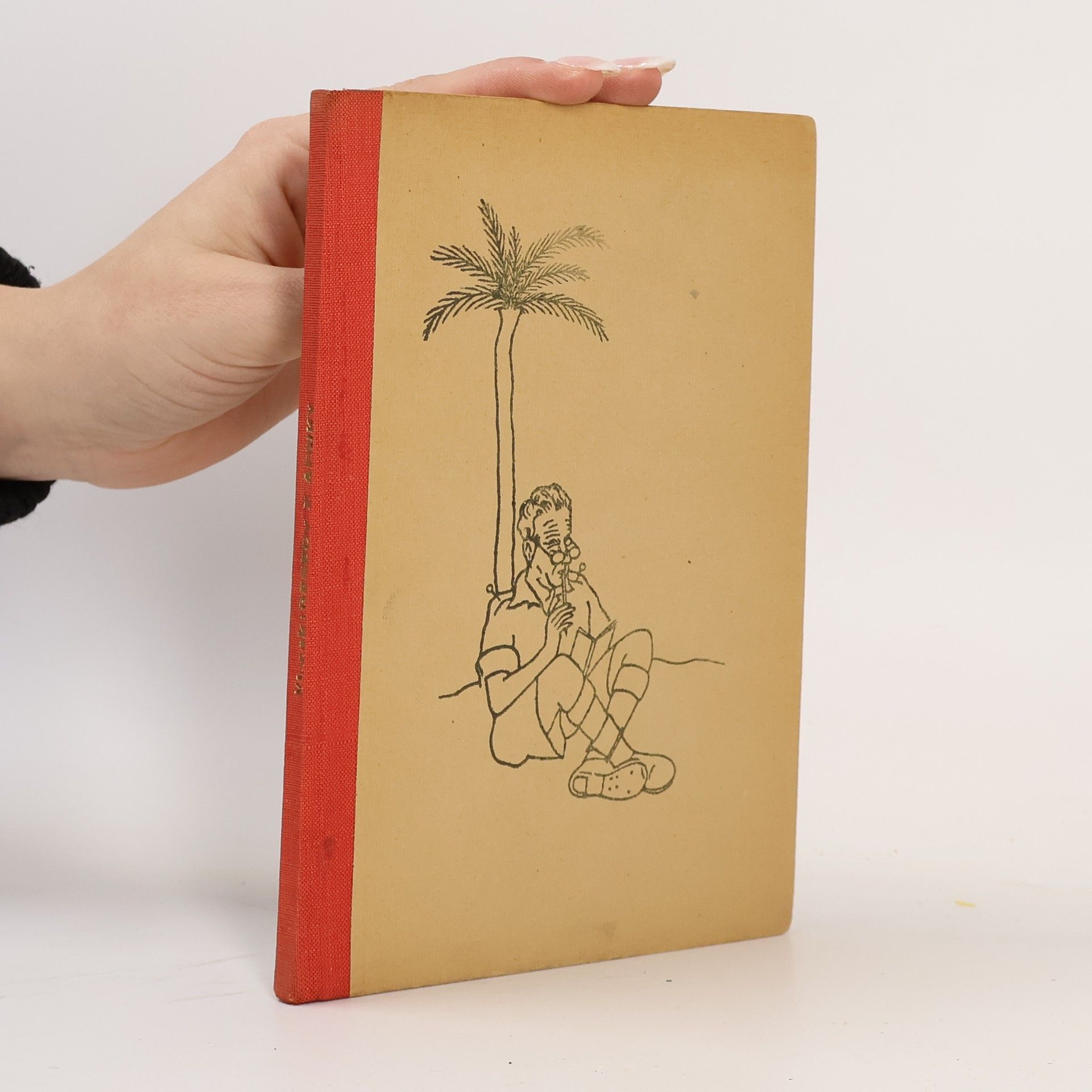 Vincek Besedy z Afriky