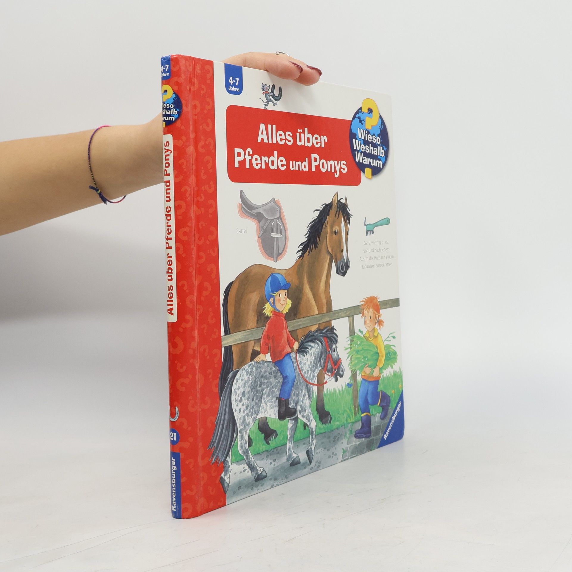 Andrea Erne Alles über Pferde und Ponys