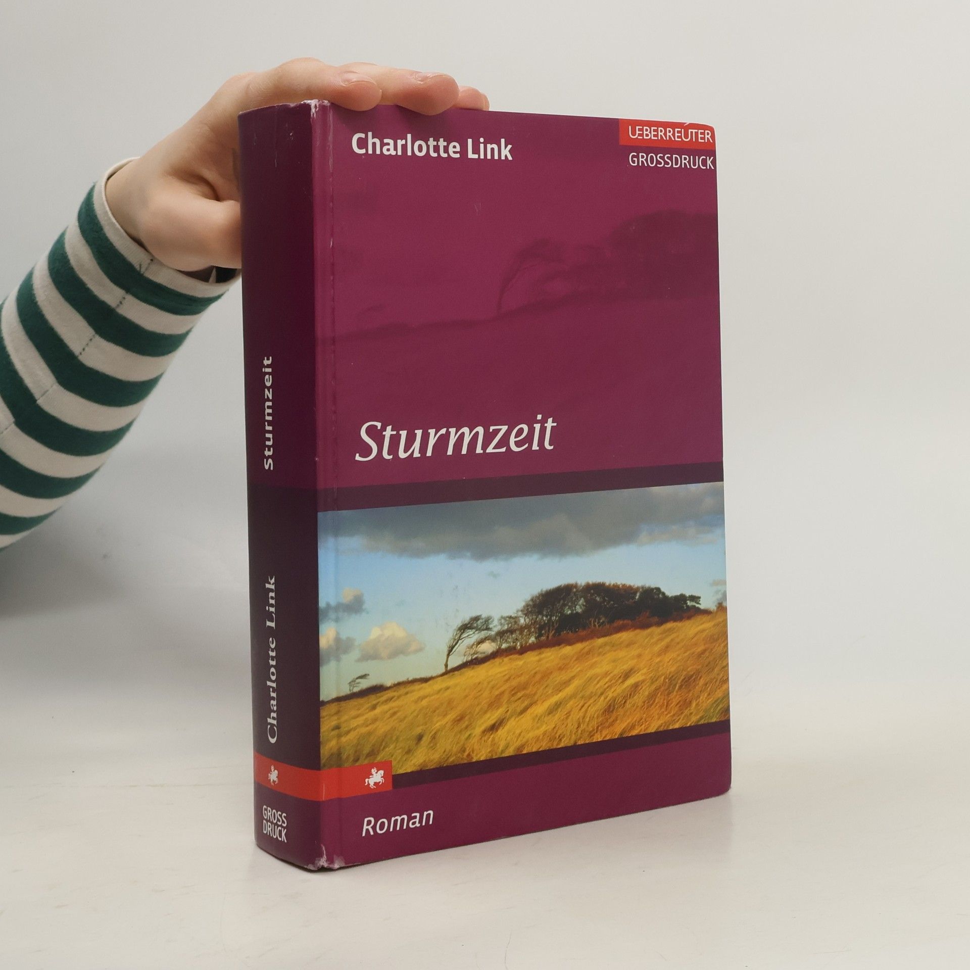 Charlotte Link Sturmzeit - Ueberreuter Grossdruck