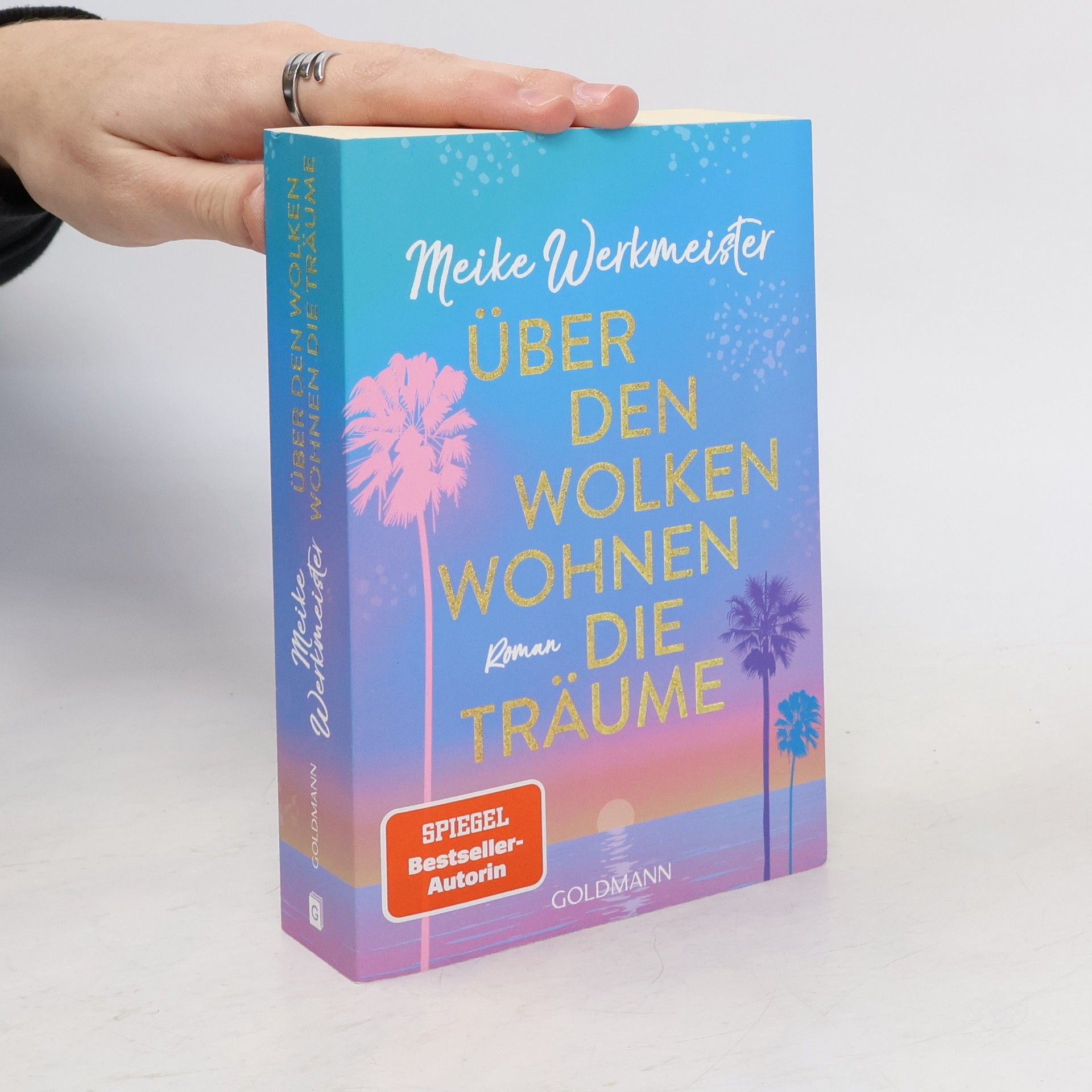 Meike Werkmeister Über den Wolken wohnen die Träume