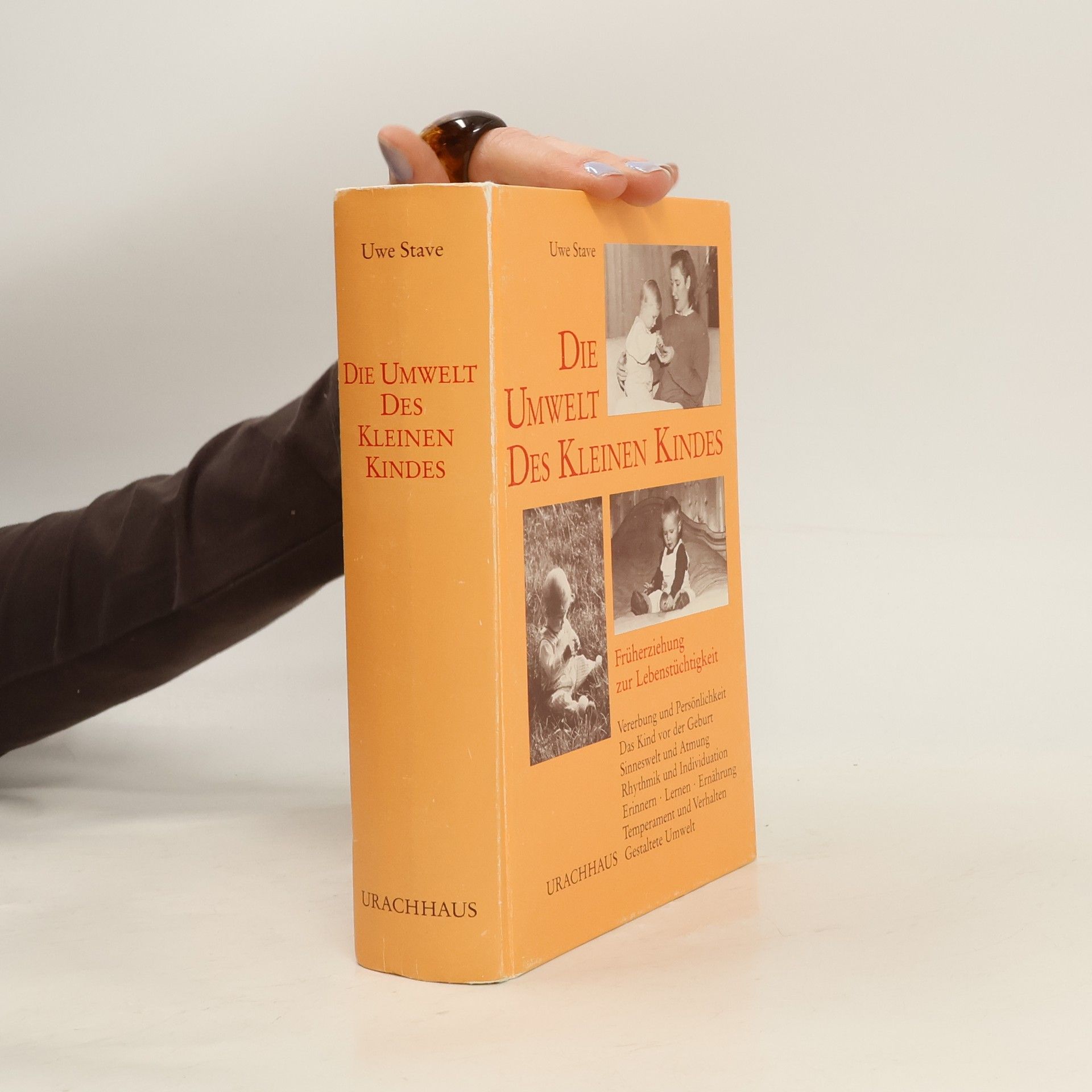 Uwe Stave Die Umwelt des kleinen Kindes