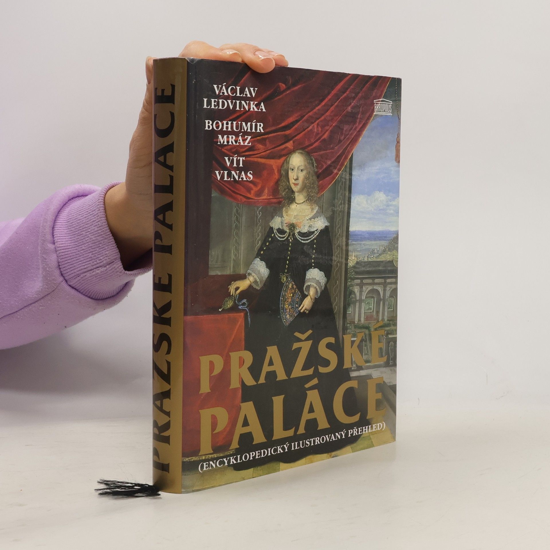 Václav Ledvinka Pražské paláce