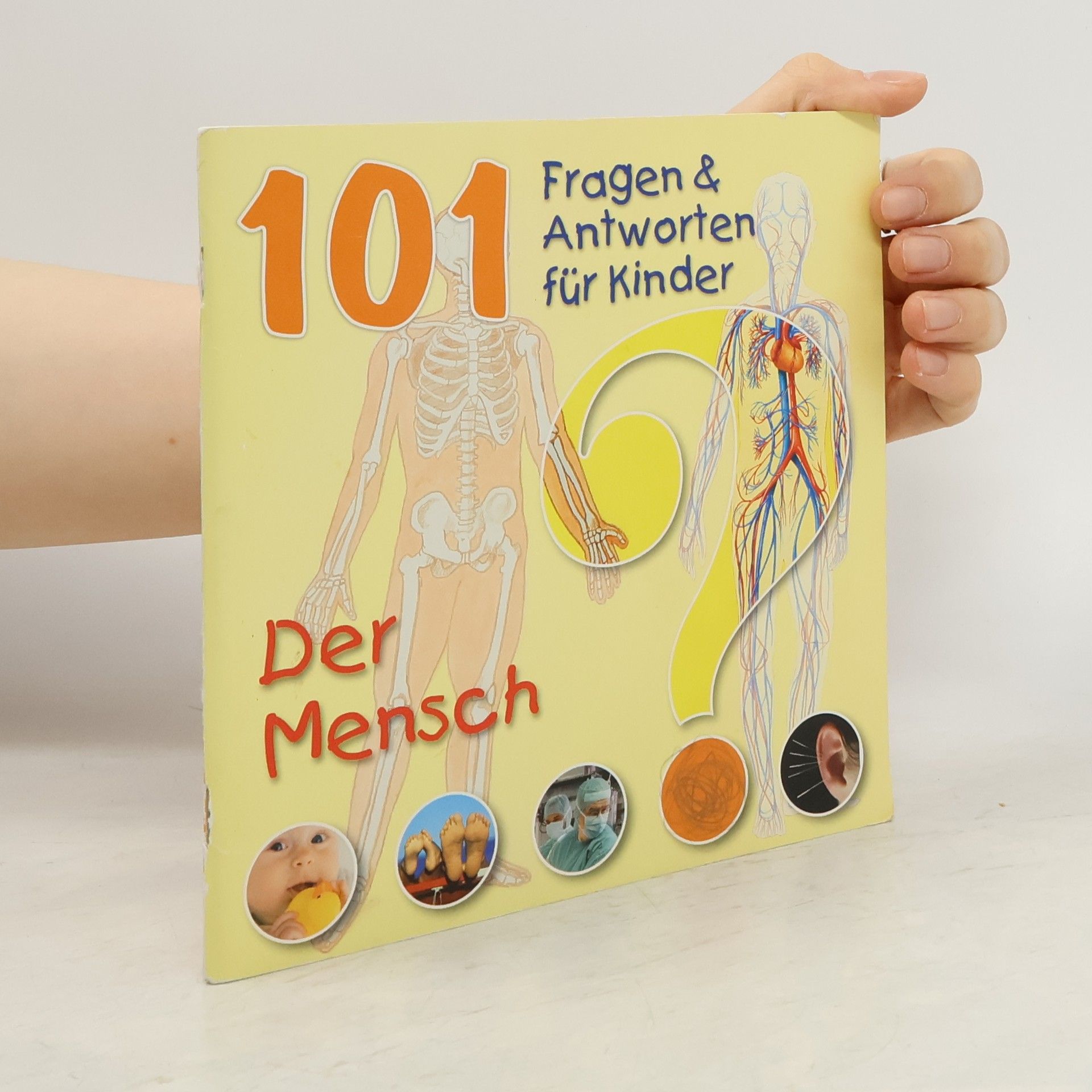 Autorenkollektiv 101 Fragen & Antworten für Kinder