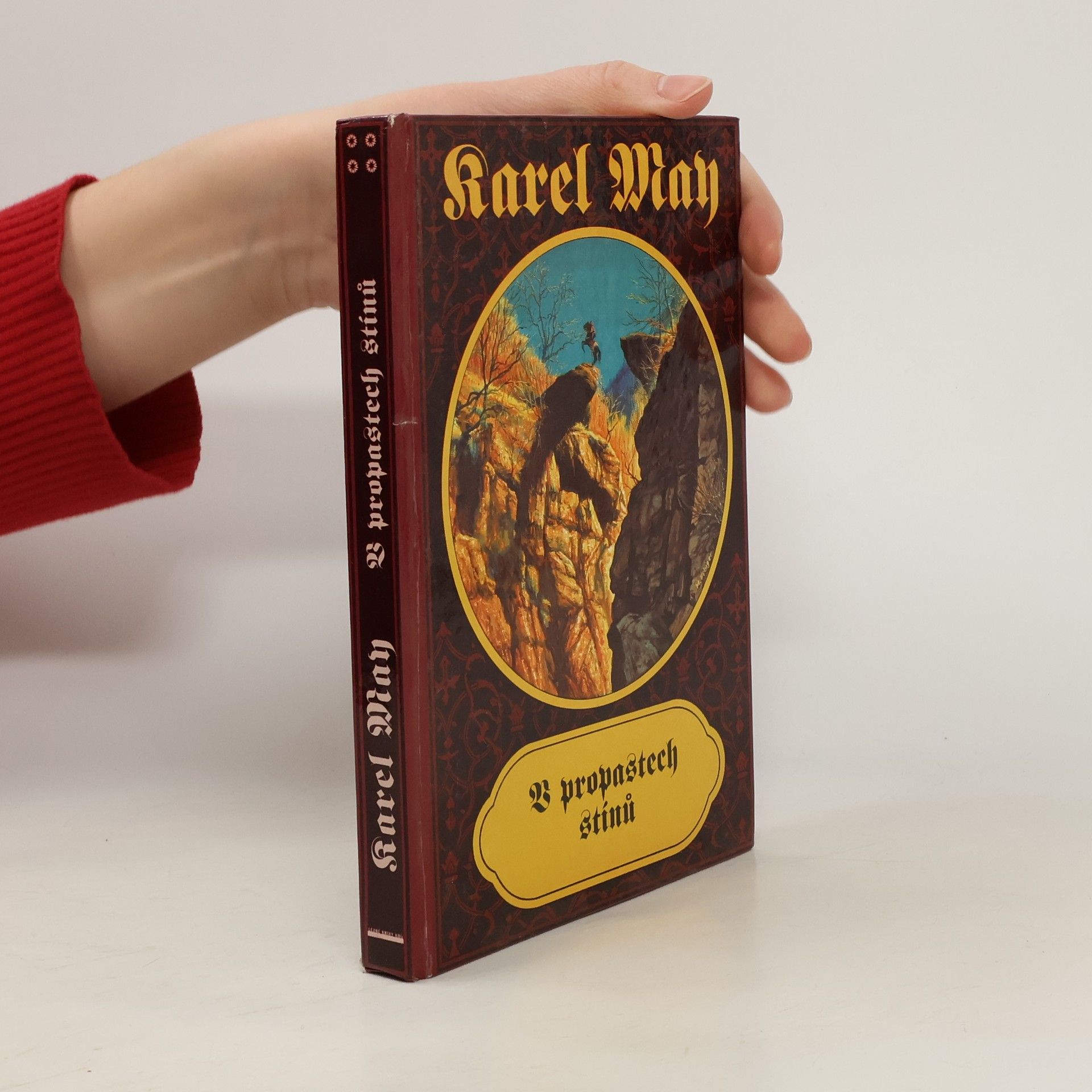 V propastech stínů