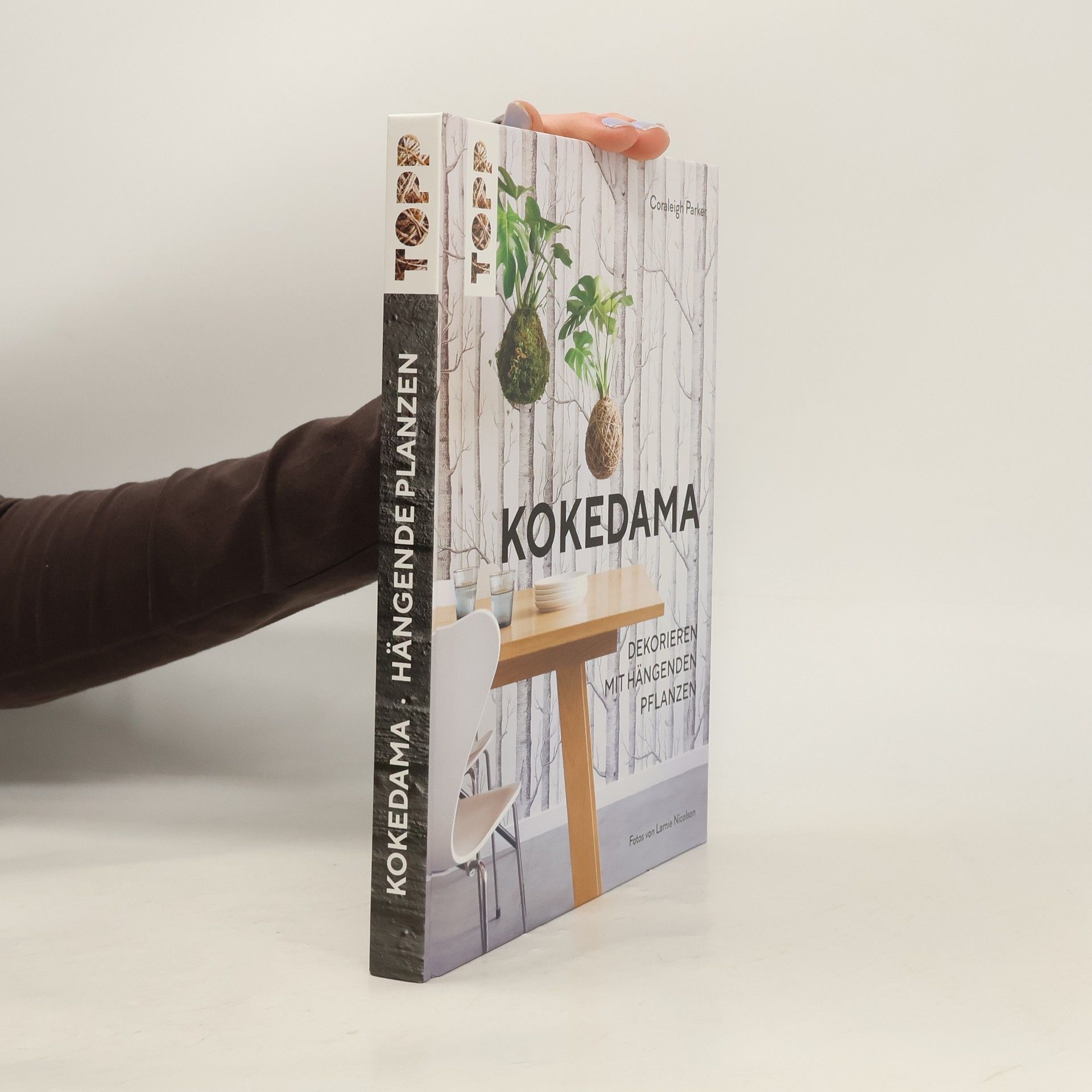 Coraleigh Parker Kokedama