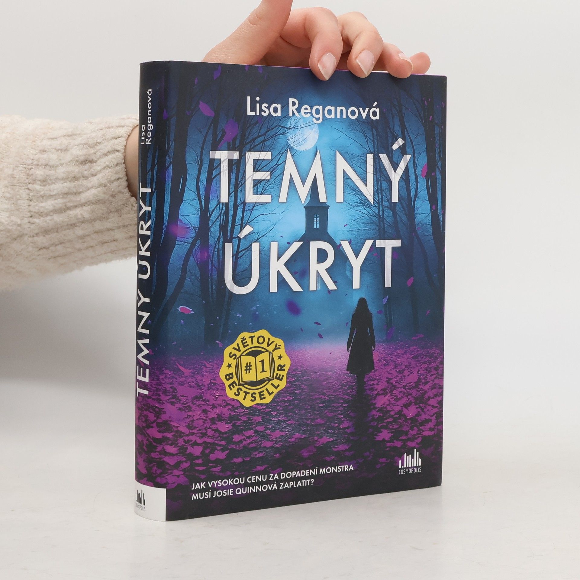 Lisa Regan Temný úkryt