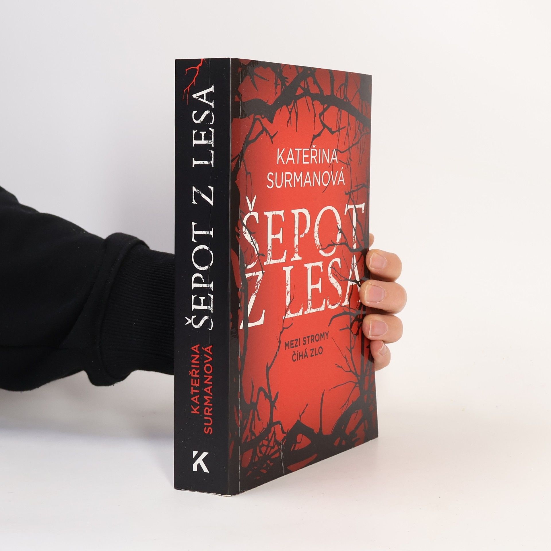 Kateřina Surmanová Šepot z lesa