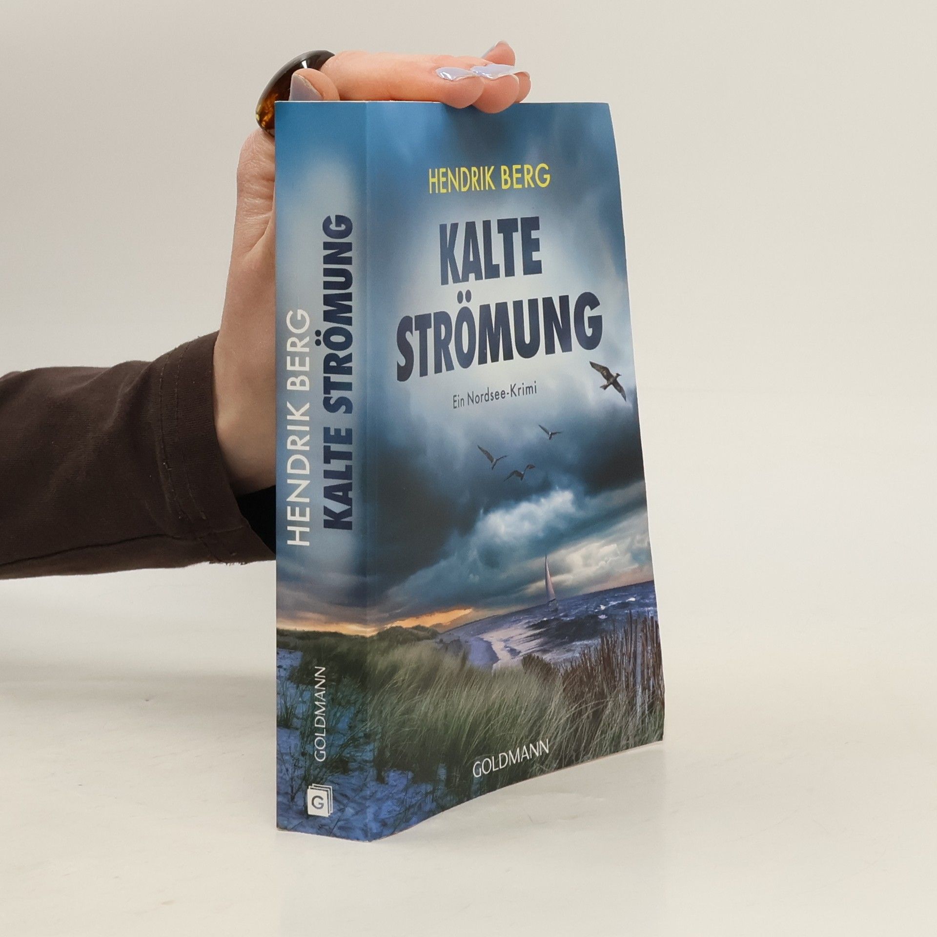 Hendrik Berg Kalte Strömung