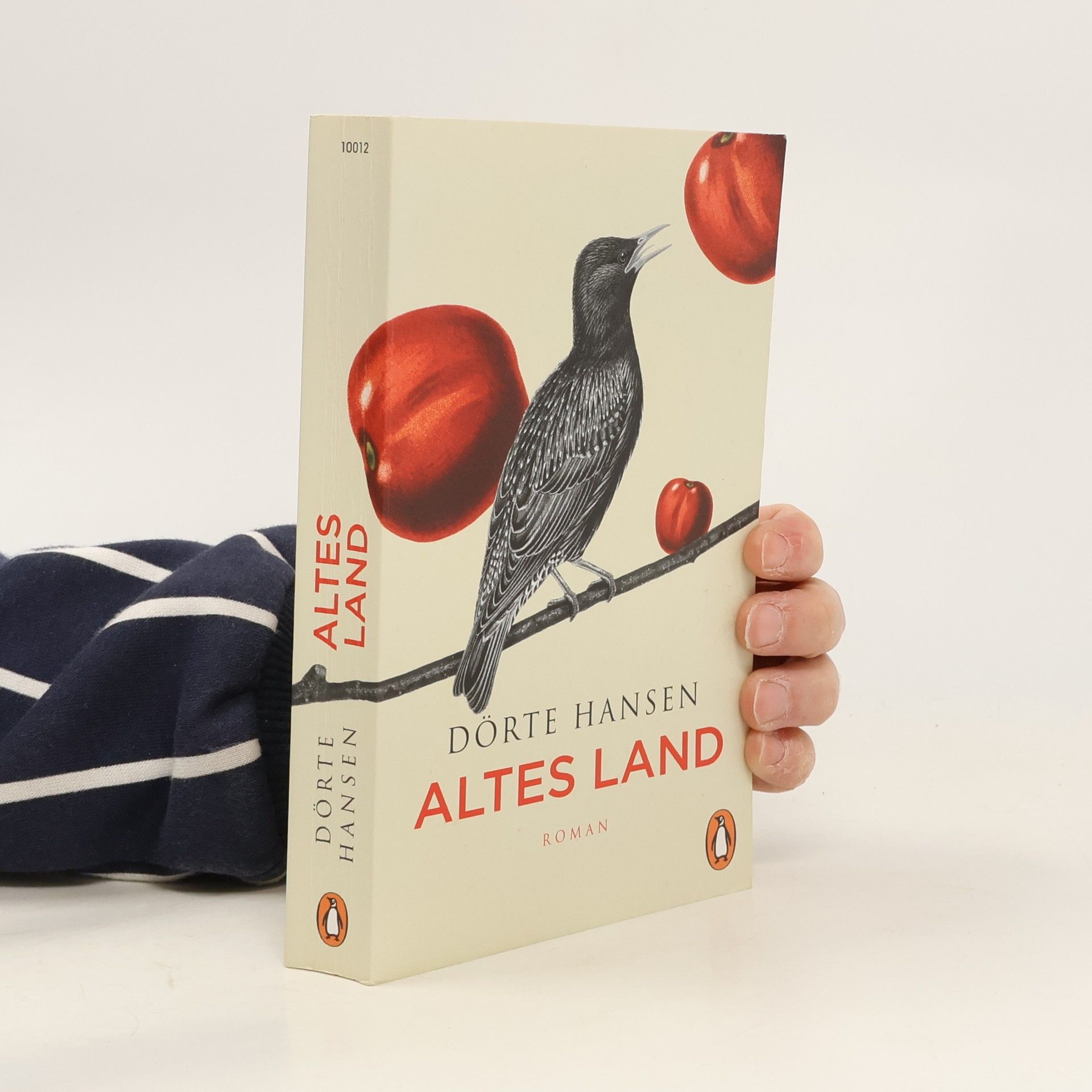 Dörte Hansen Altes Land