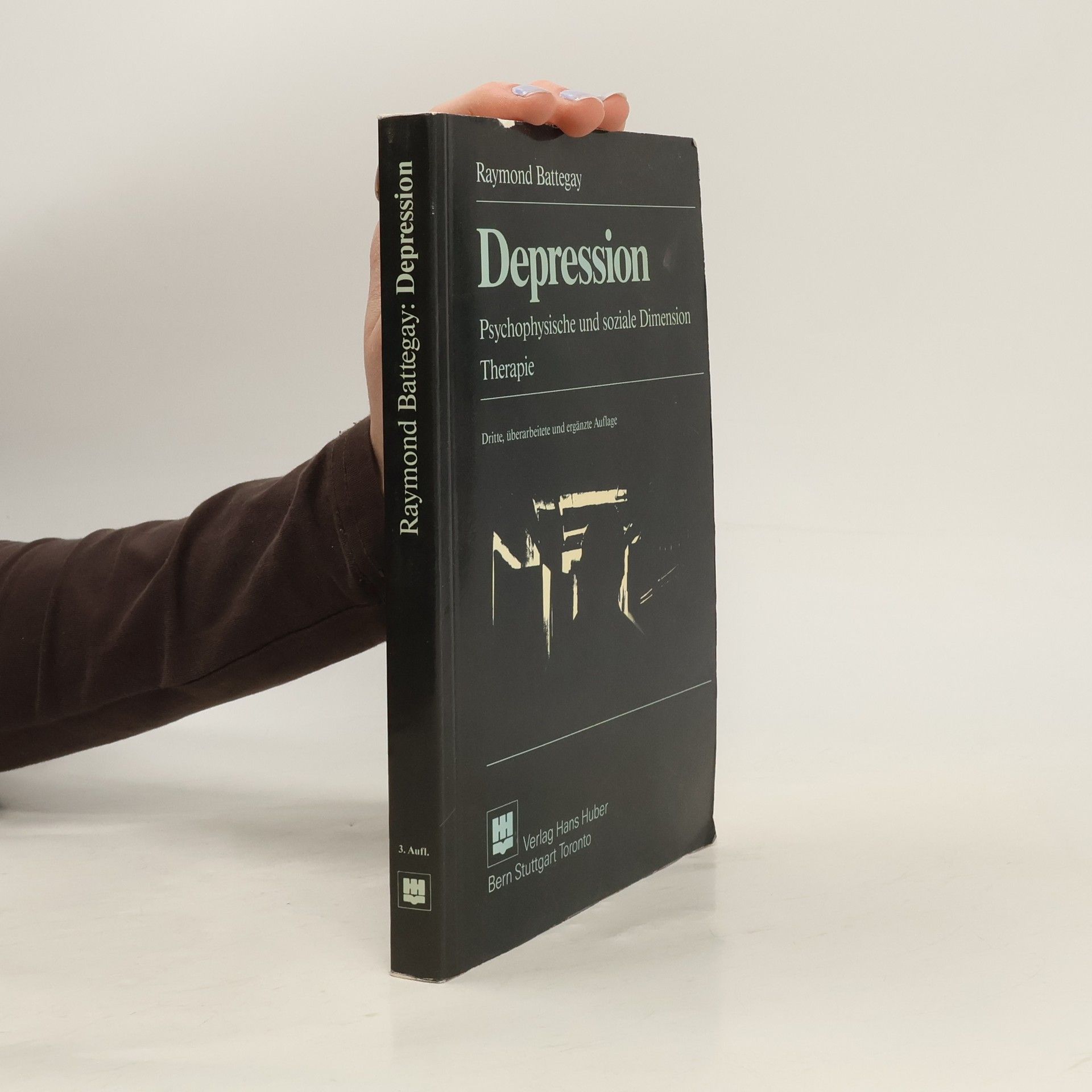 Raymond Battegay Depression - Dritte, überarbeitete und ergänzte Auflage
