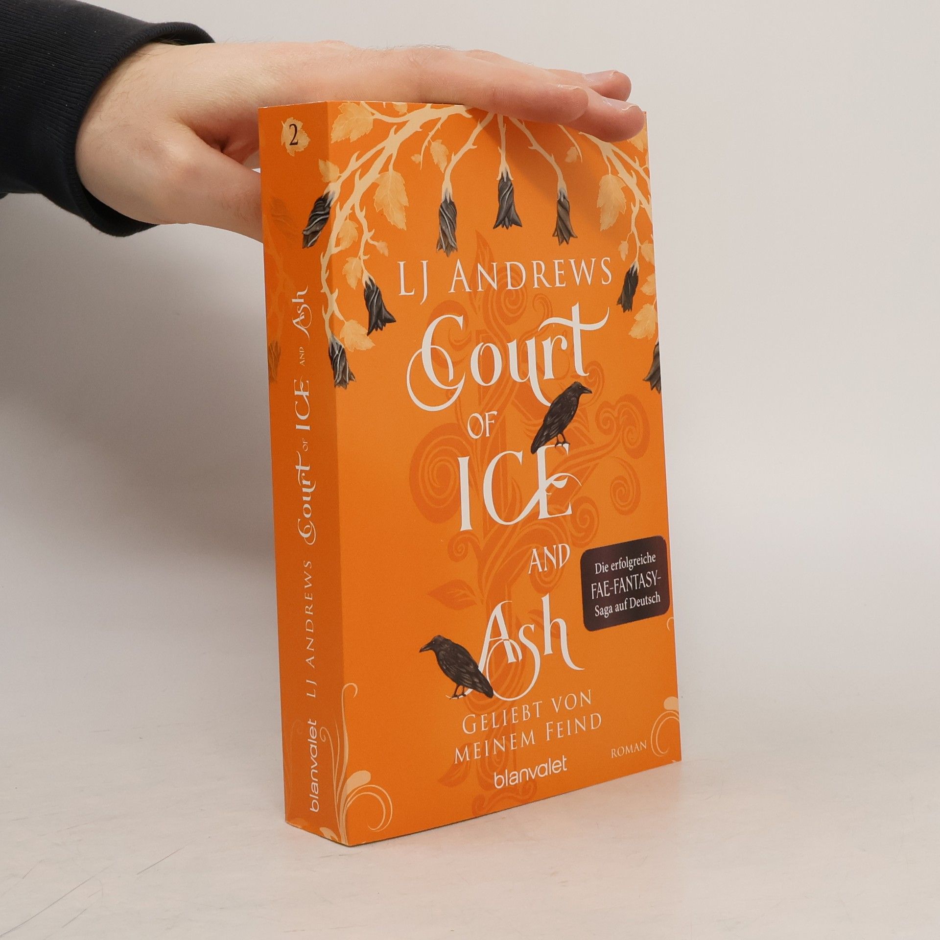 Court of Ice and Ash - Geliebt von meinem Feind