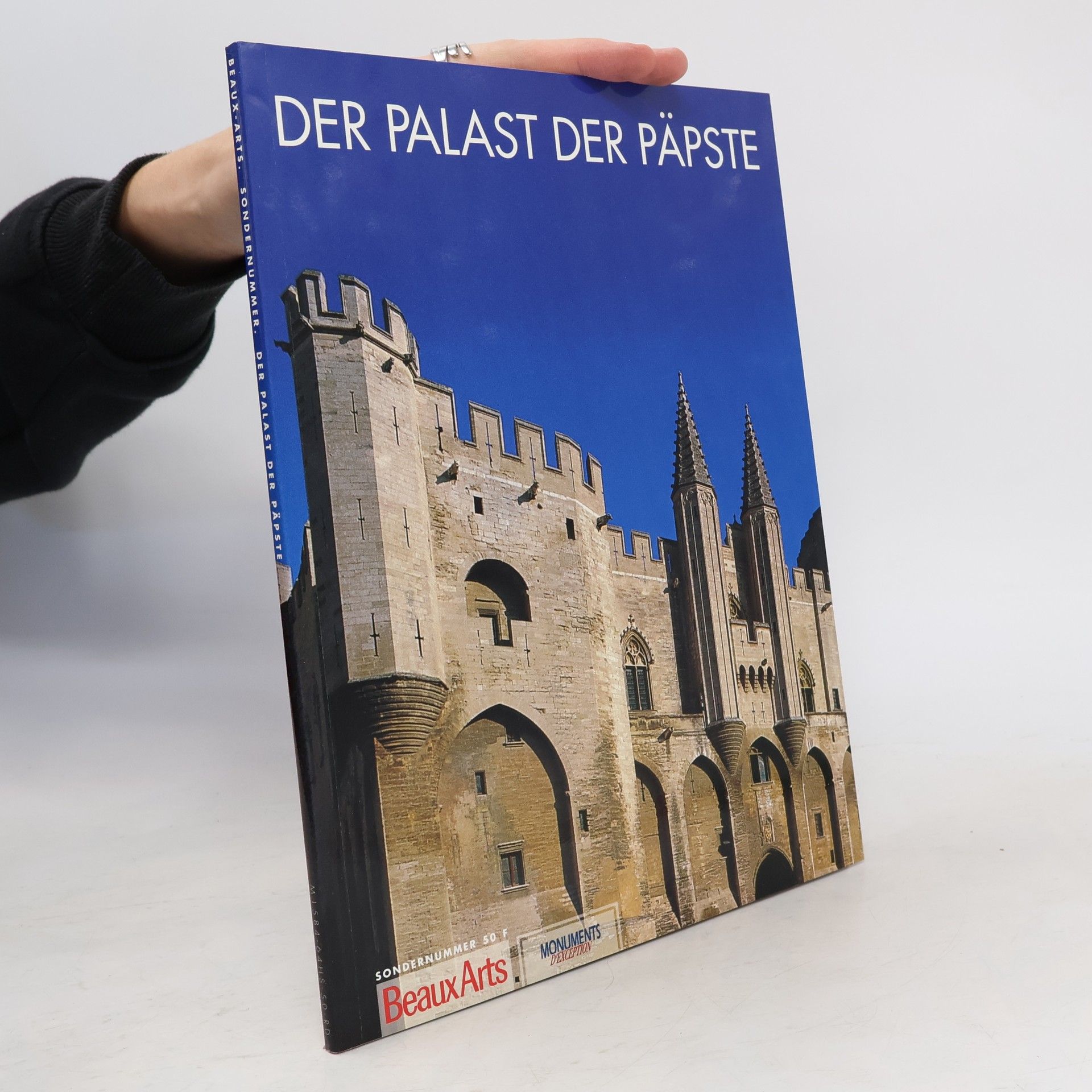 Autorenkollektiv Der Palast der Päpste