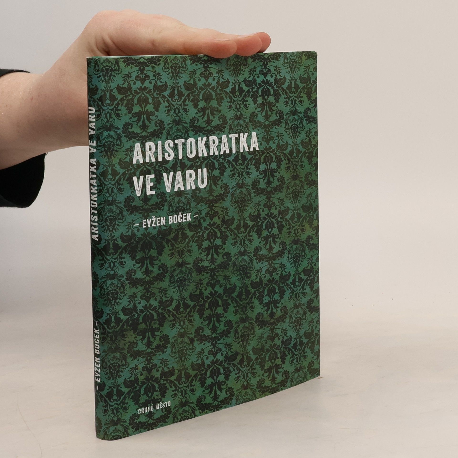 Evžen Boček Aristokratka ve varu