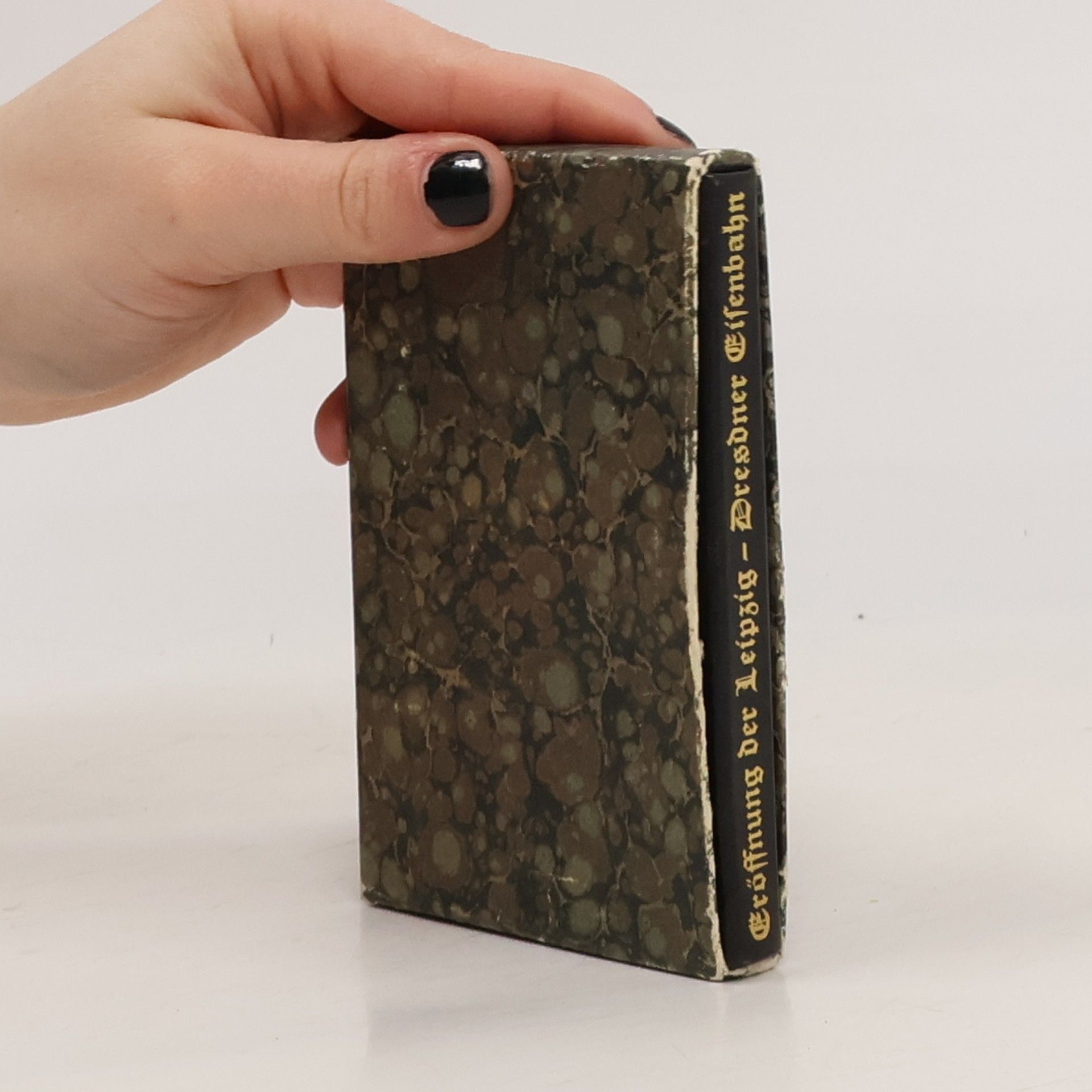 Various authors Die Größnung der Leipzig Dresdner Eisenbahn