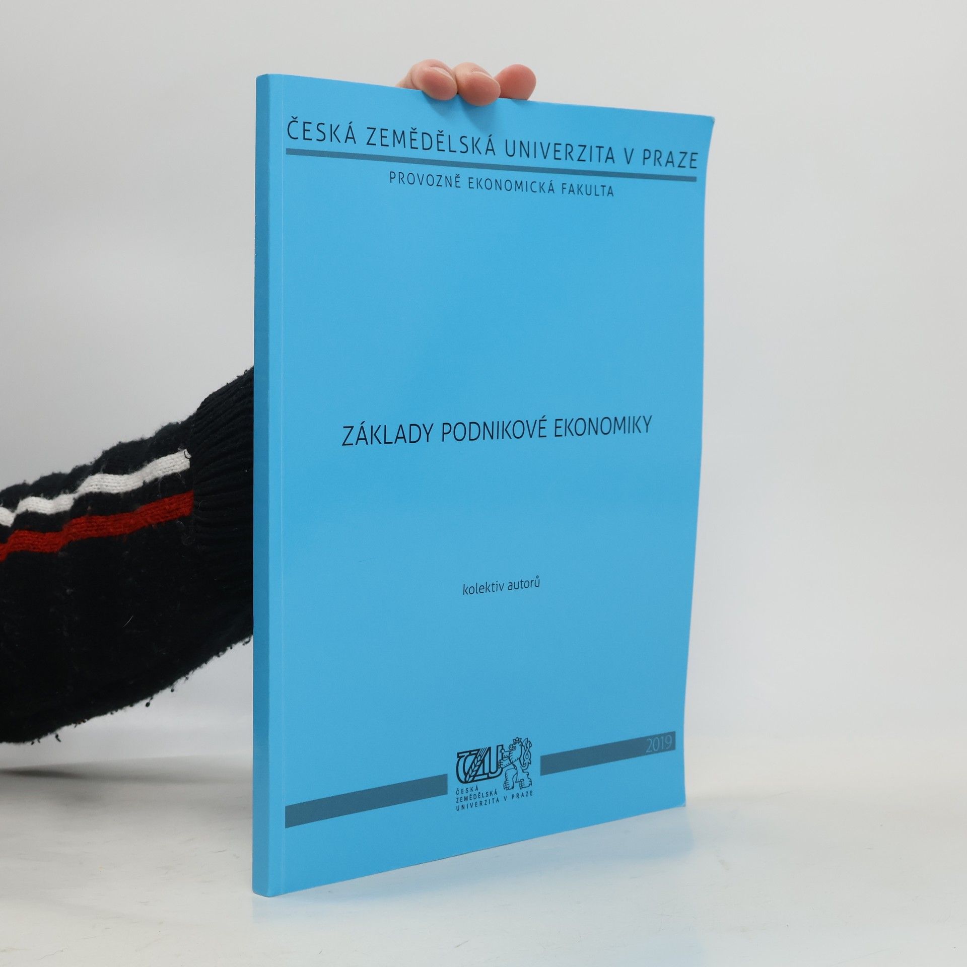 Autorenkollektiv Základy podnikové ekonomiky