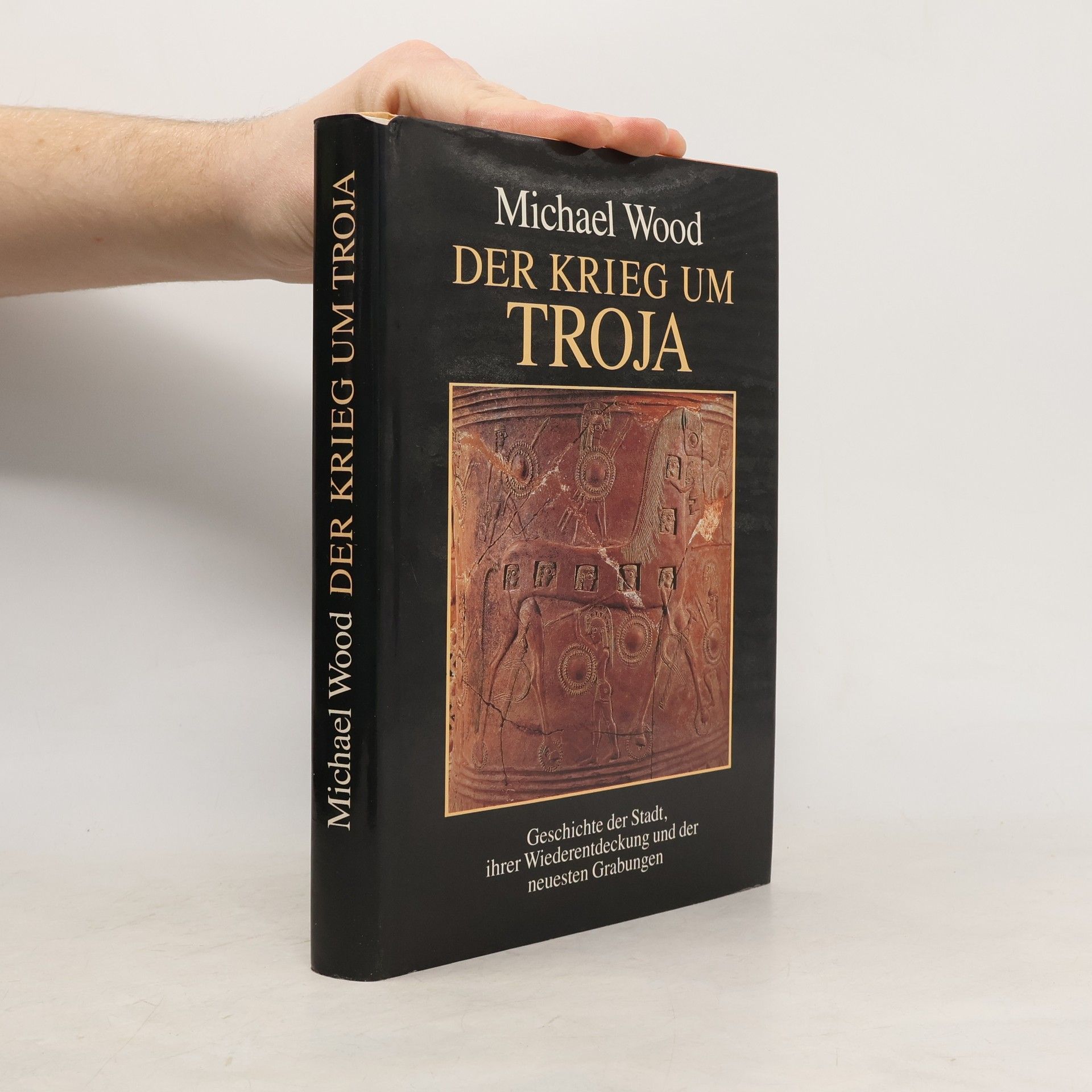 Michael Wood Der Krieg um Troja