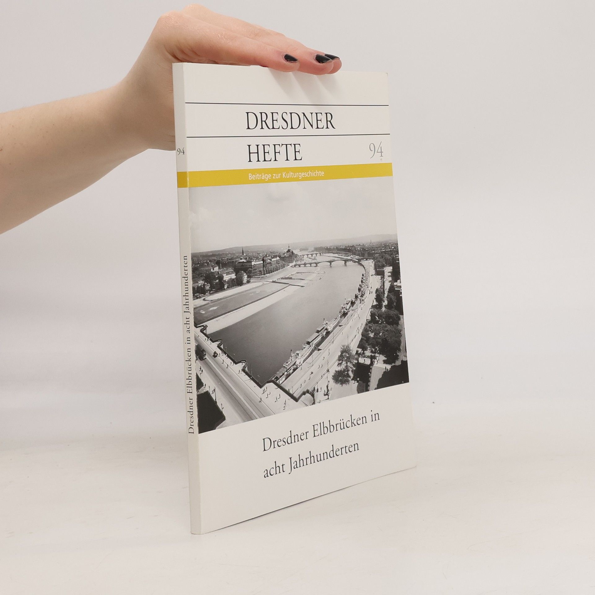 Dresdner Elbbrücken in acht Jahrhunderten