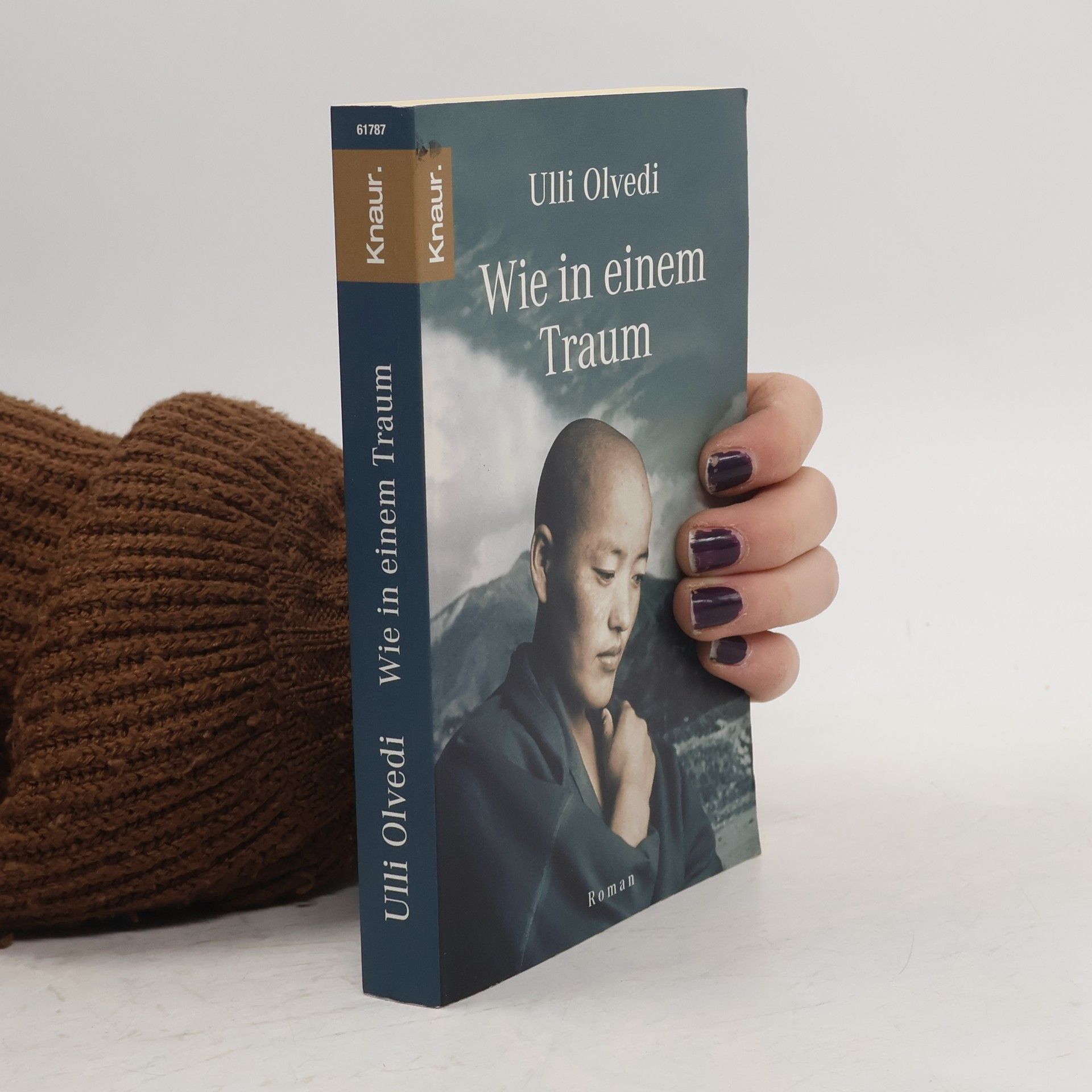 Ulli Olvedi Wie in einem Traum