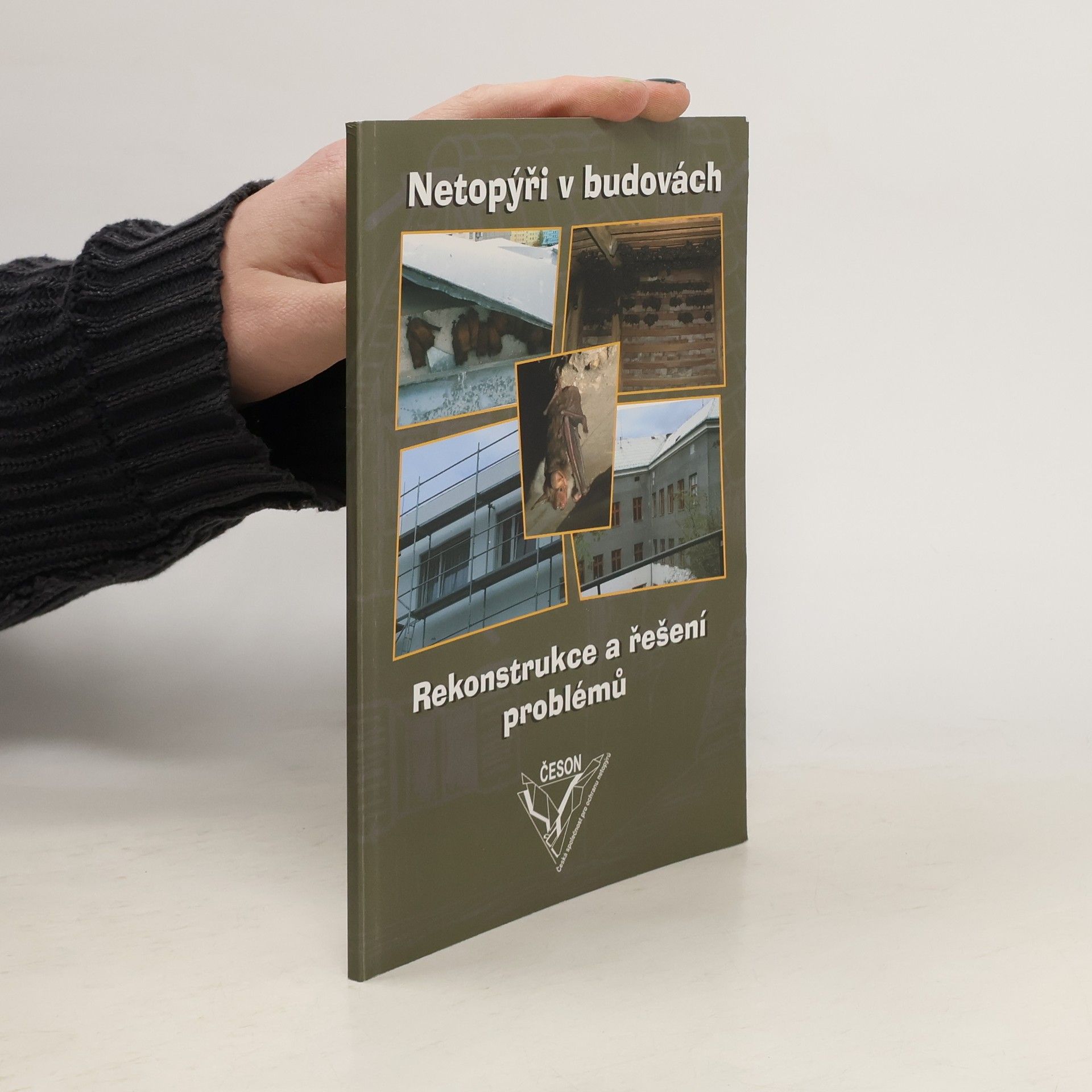 Petra Schnitzerová Netopýři v budovách