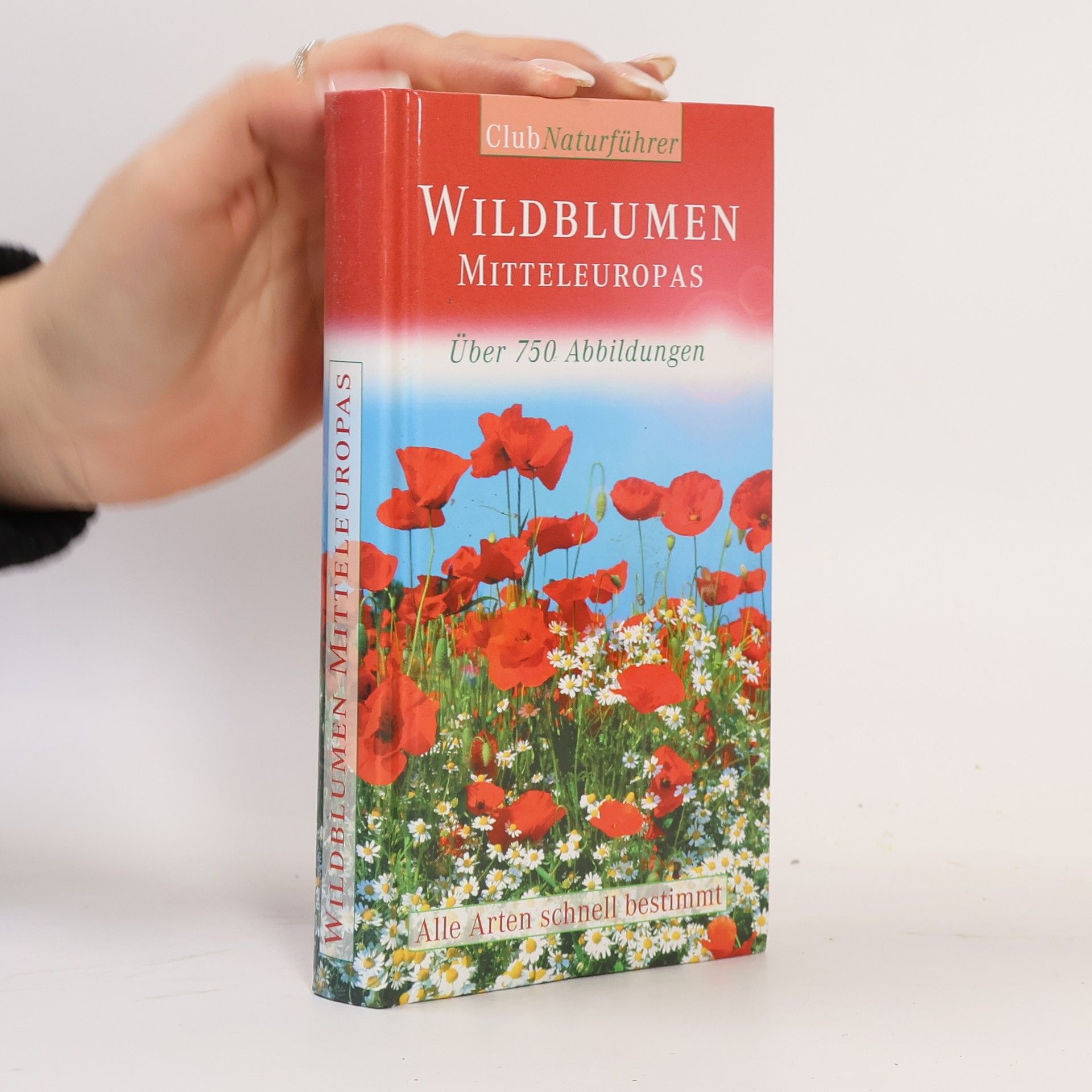 Wildblumen mitteleuropas