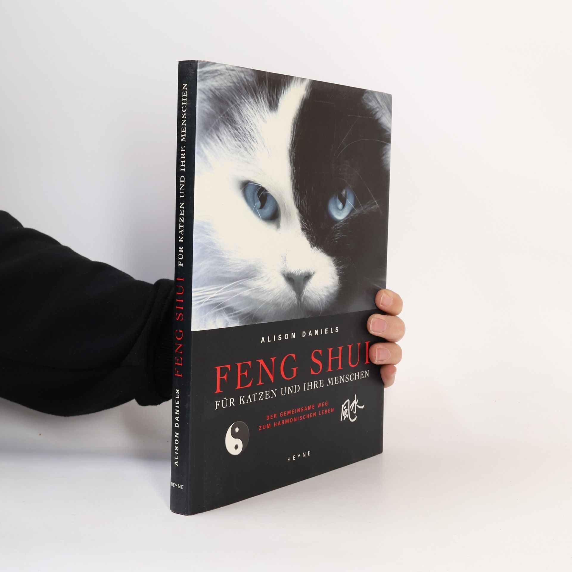 Alison Daniels Feng-Shui für Katzen und ihre Menschen